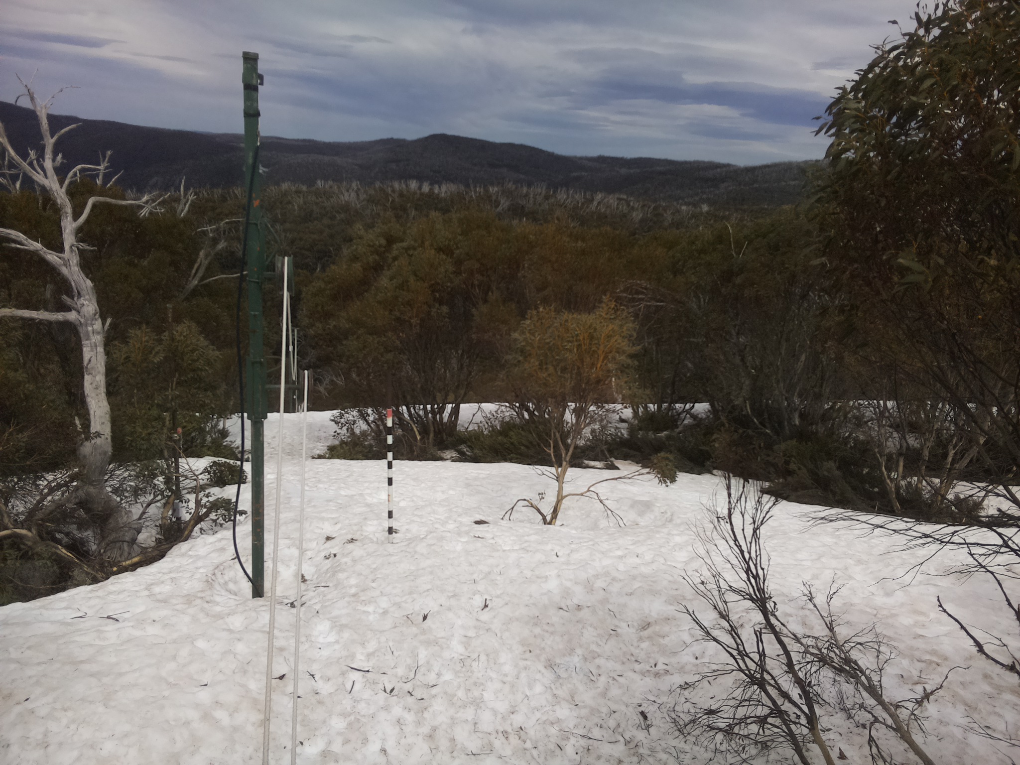 Bogong Web Cam 2:20pm Sunday 5th of October 2025