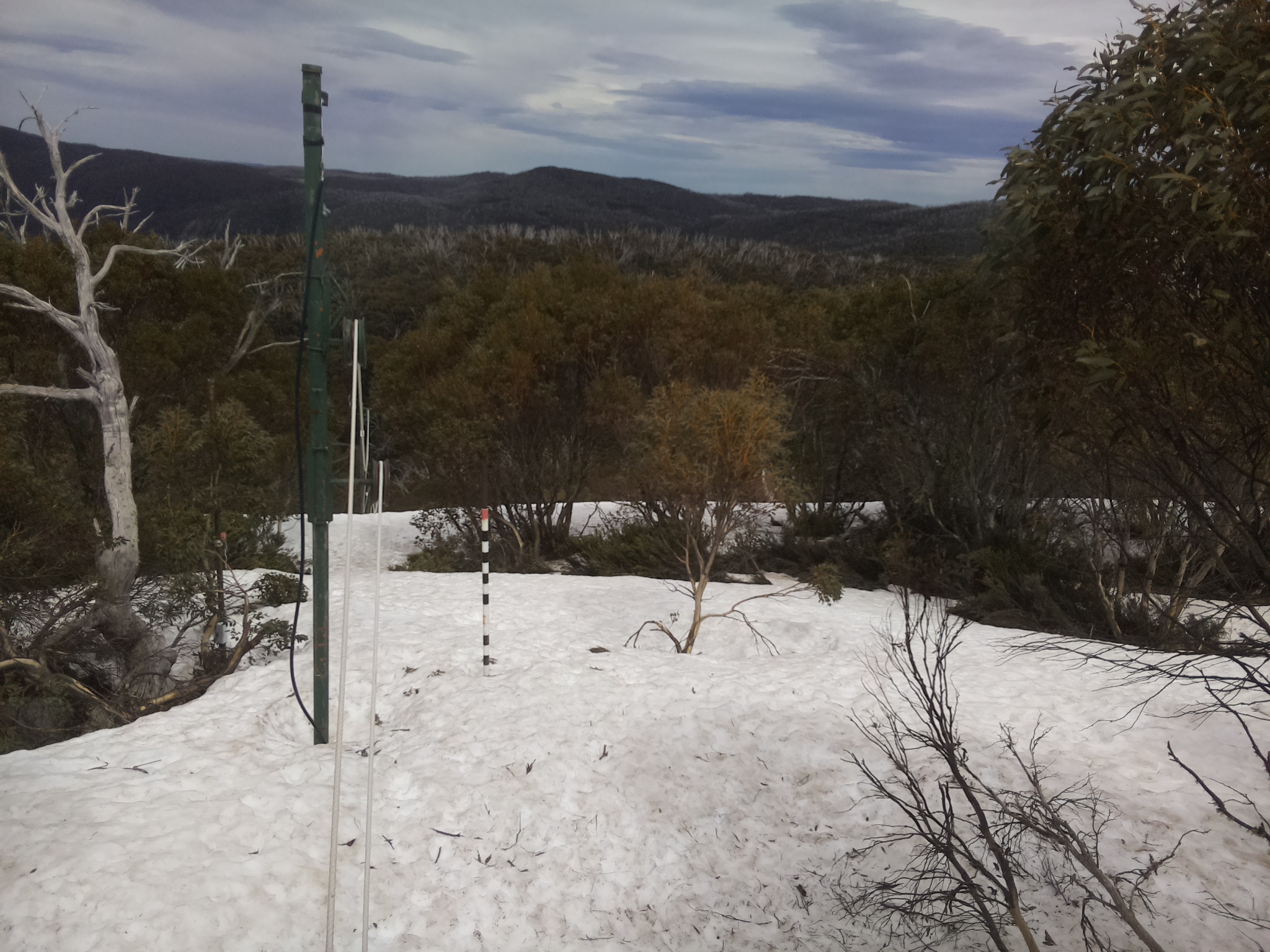 Bogong Web Cam 2:30pm Sunday 5th of October 2025