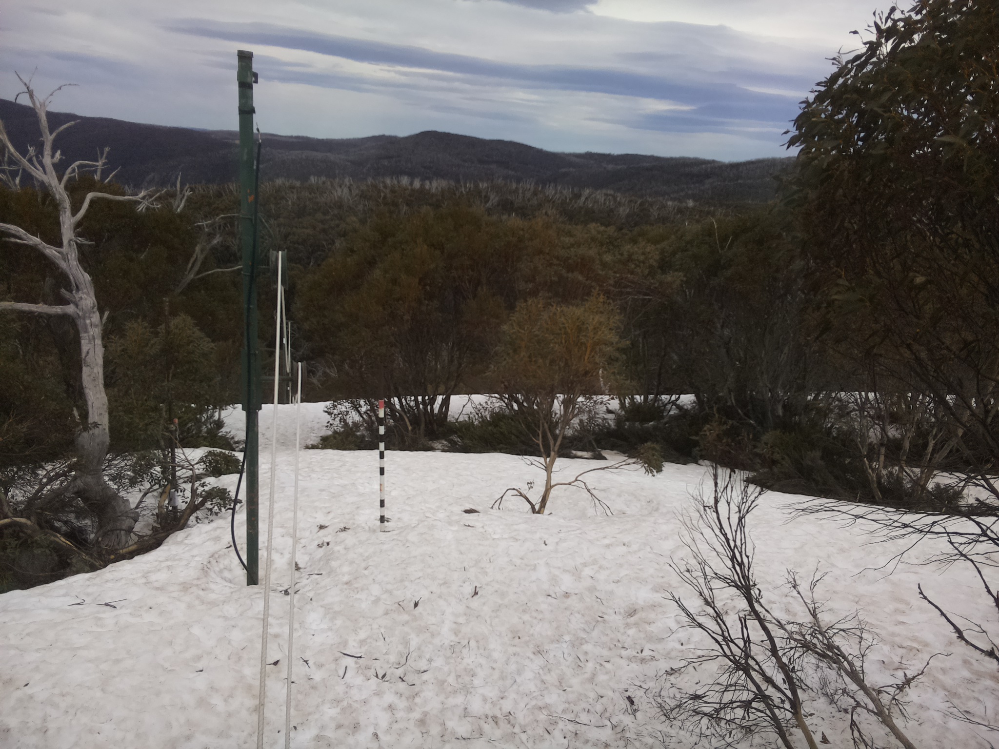 Bogong Web Cam 2:40pm Sunday 5th of October 2025