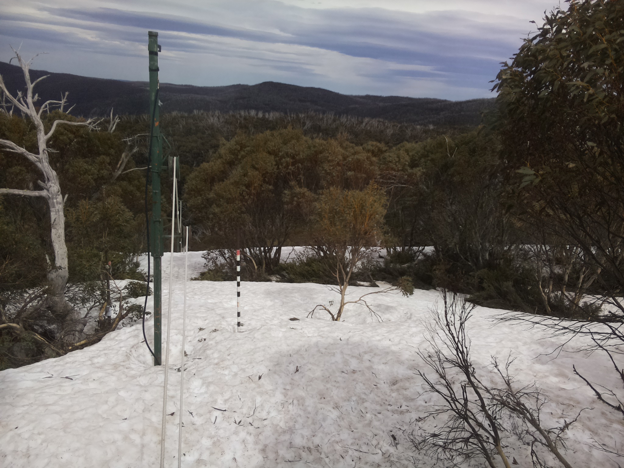 Bogong Web Cam 2:50pm Sunday 5th of October 2025