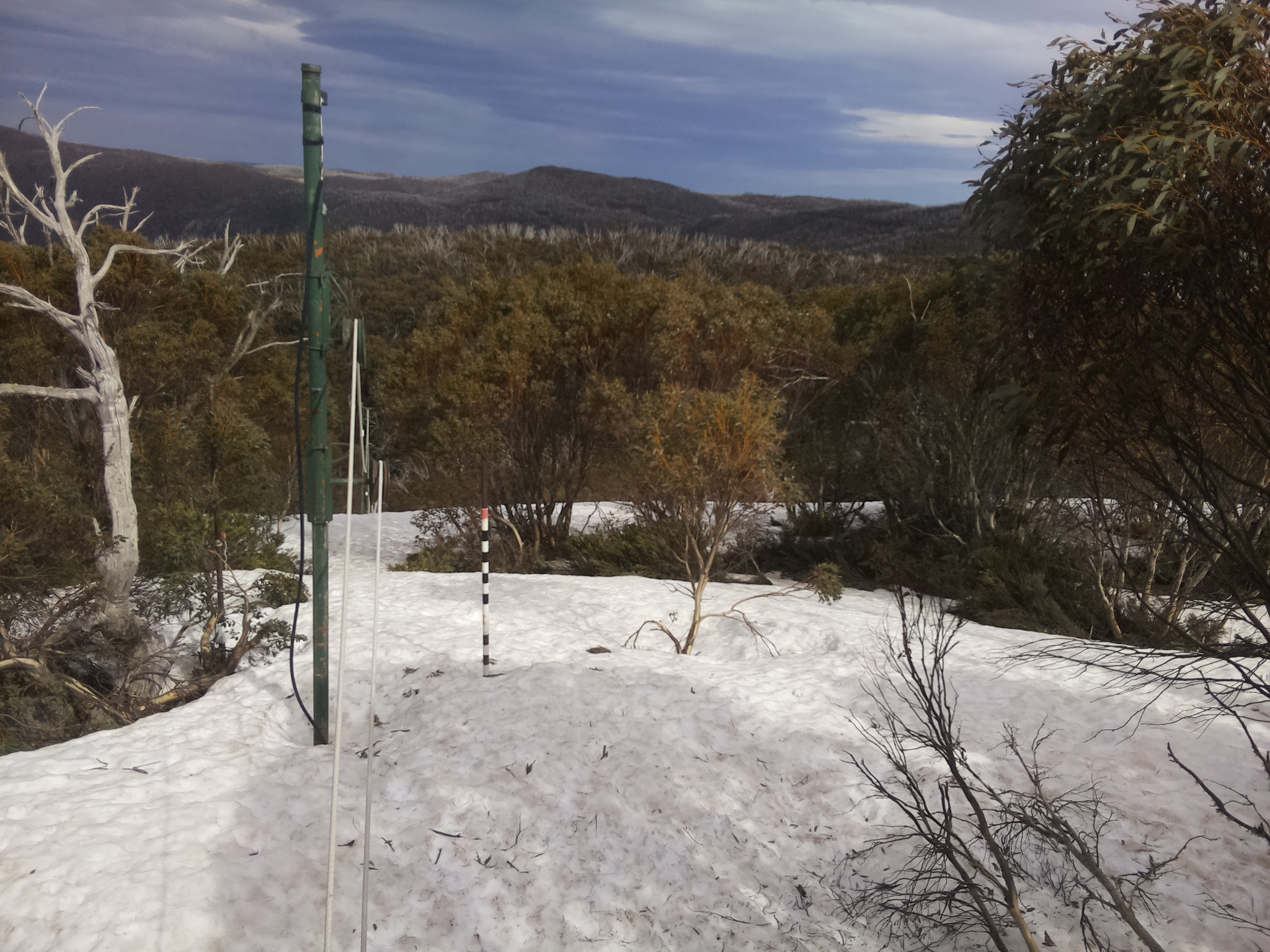 Bogong Web Cam 3:50pm Sunday 5th of October 2025