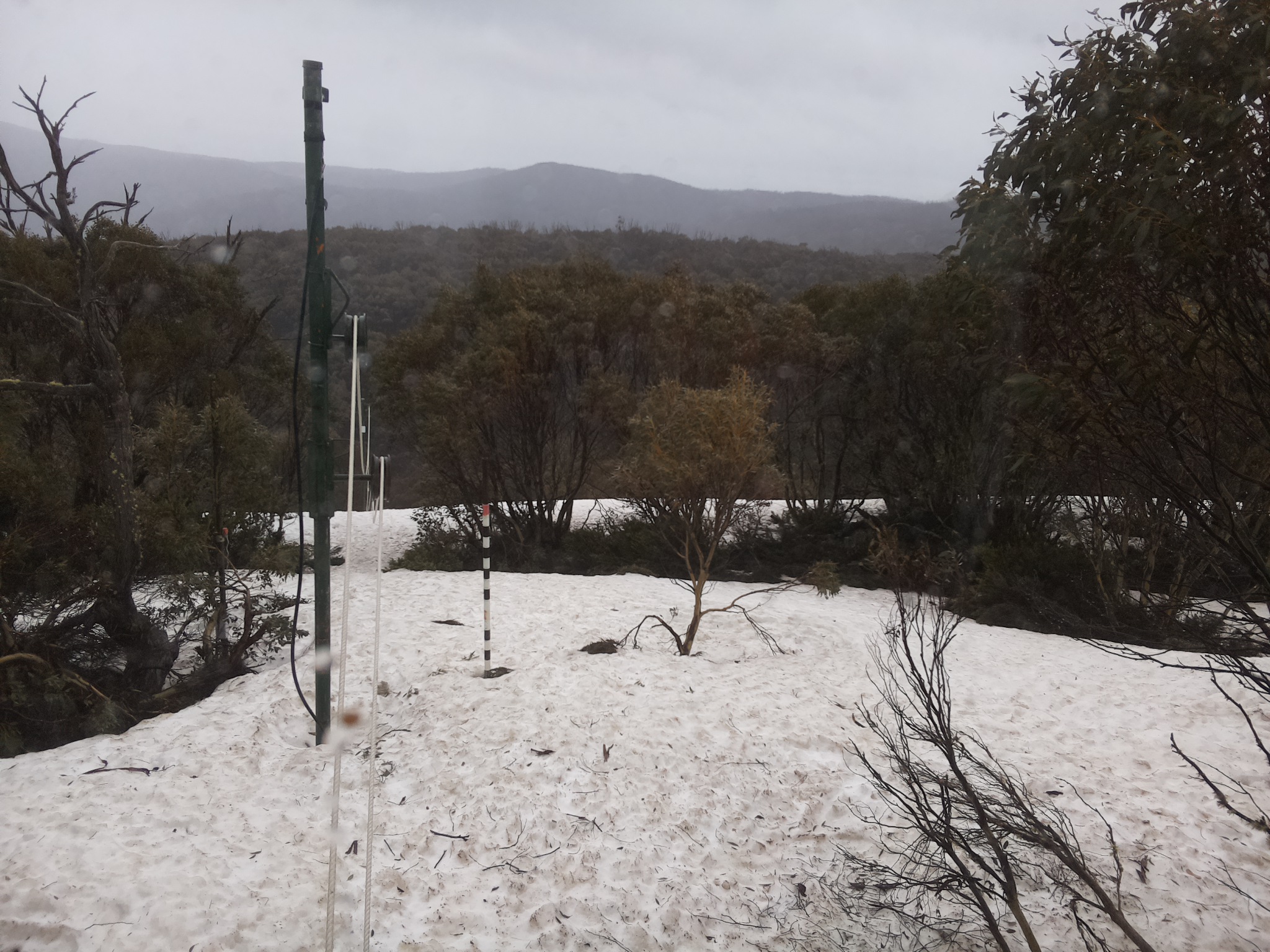 Bogong Web Cam 8:00am Monday 6th of October 2025