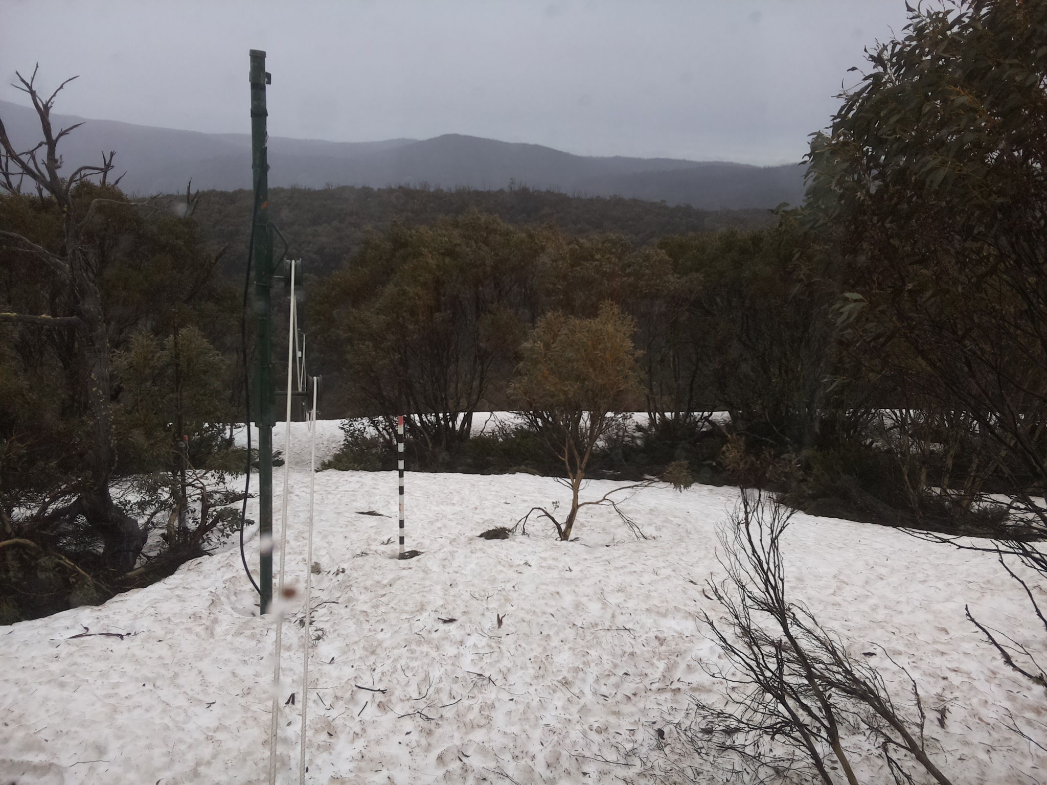 Bogong Web Cam 8:10am Monday 6th of October 2025
