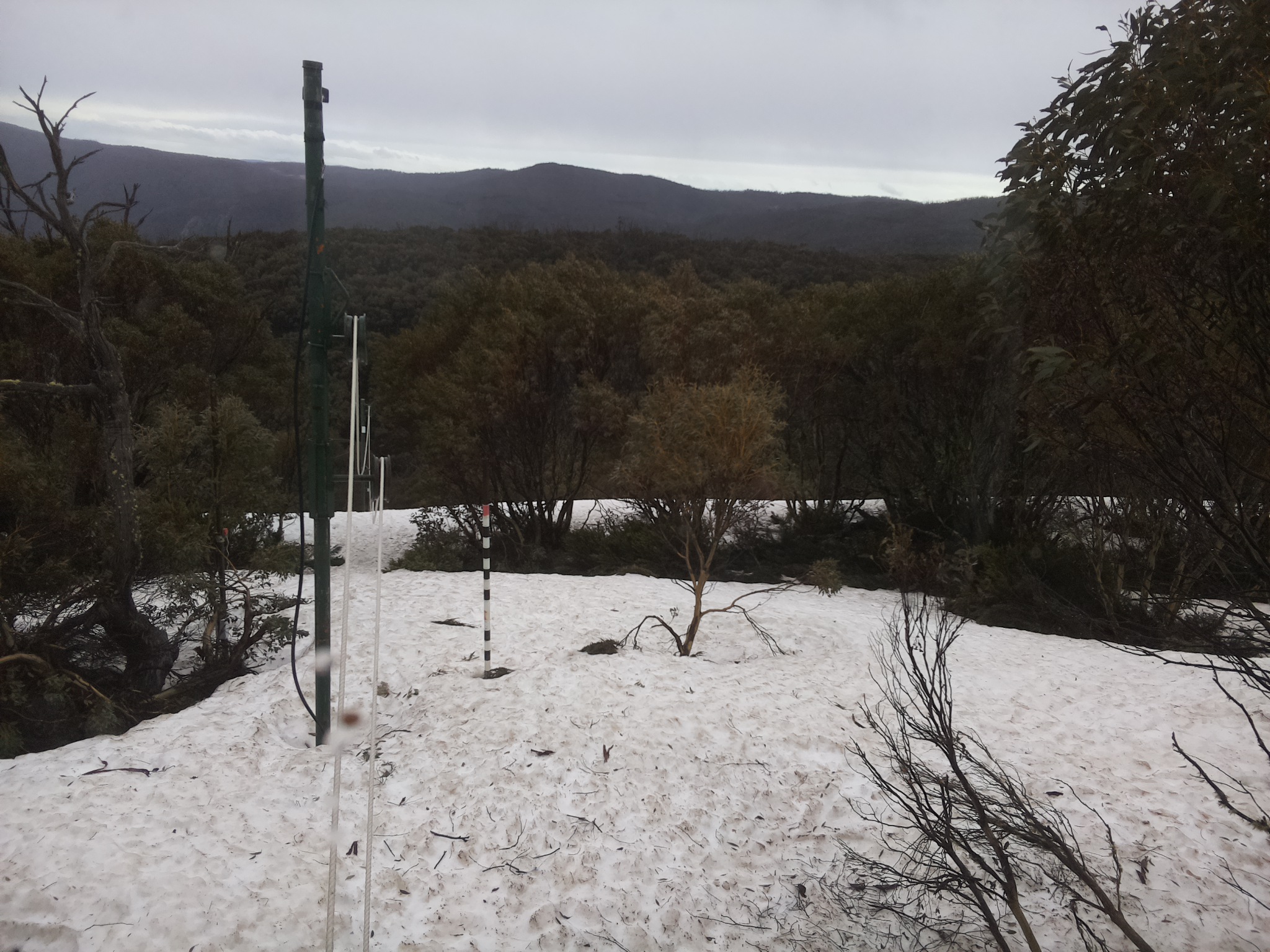 Bogong Web Cam 8:30am Monday 6th of October 2025