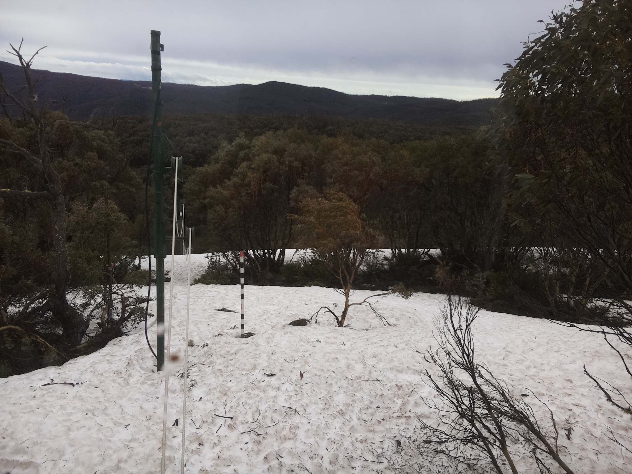 Bogong Web Cam 8:40am Monday 6th of October 2025