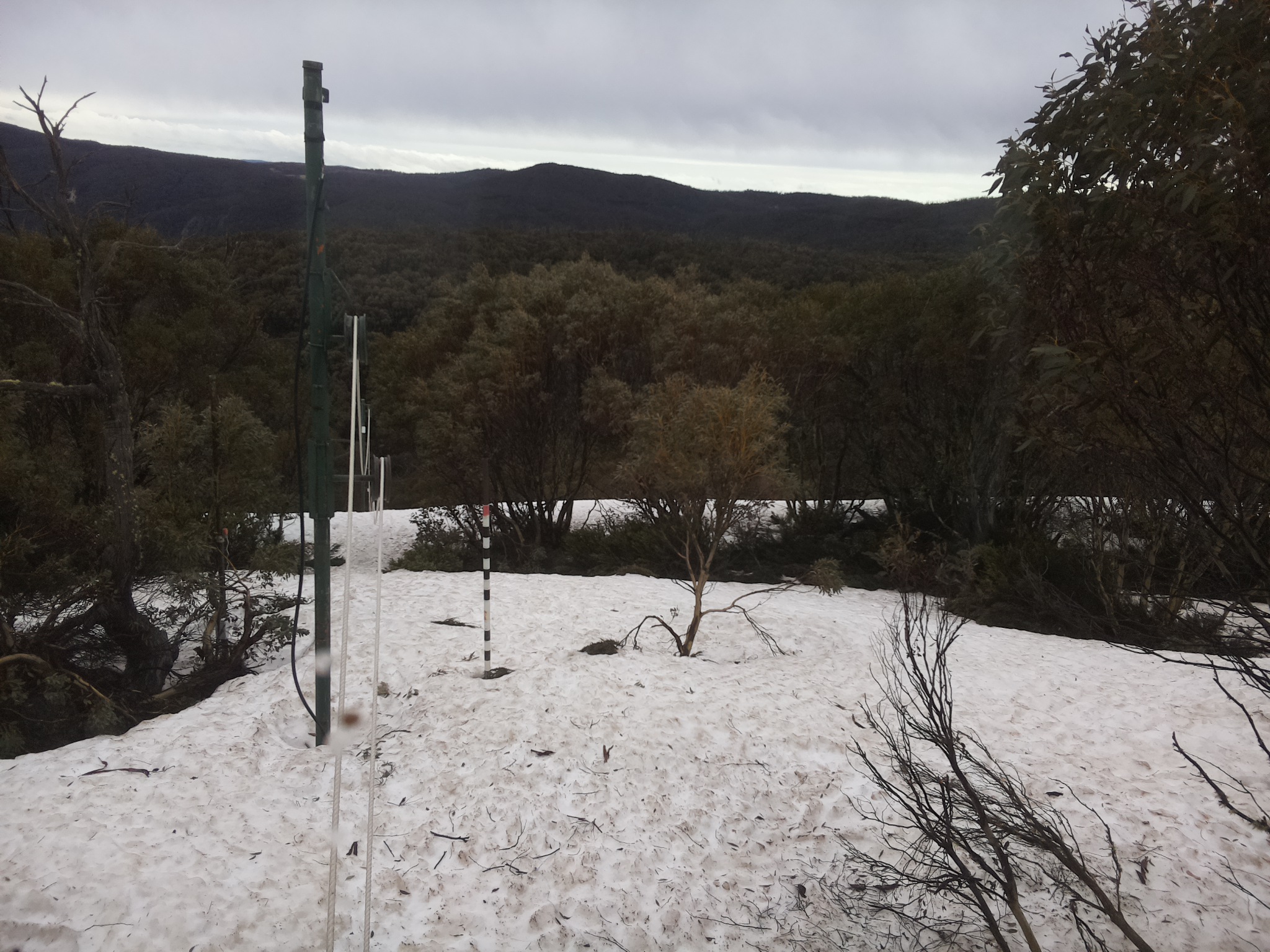 Bogong Web Cam 8:50am Monday 6th of October 2025