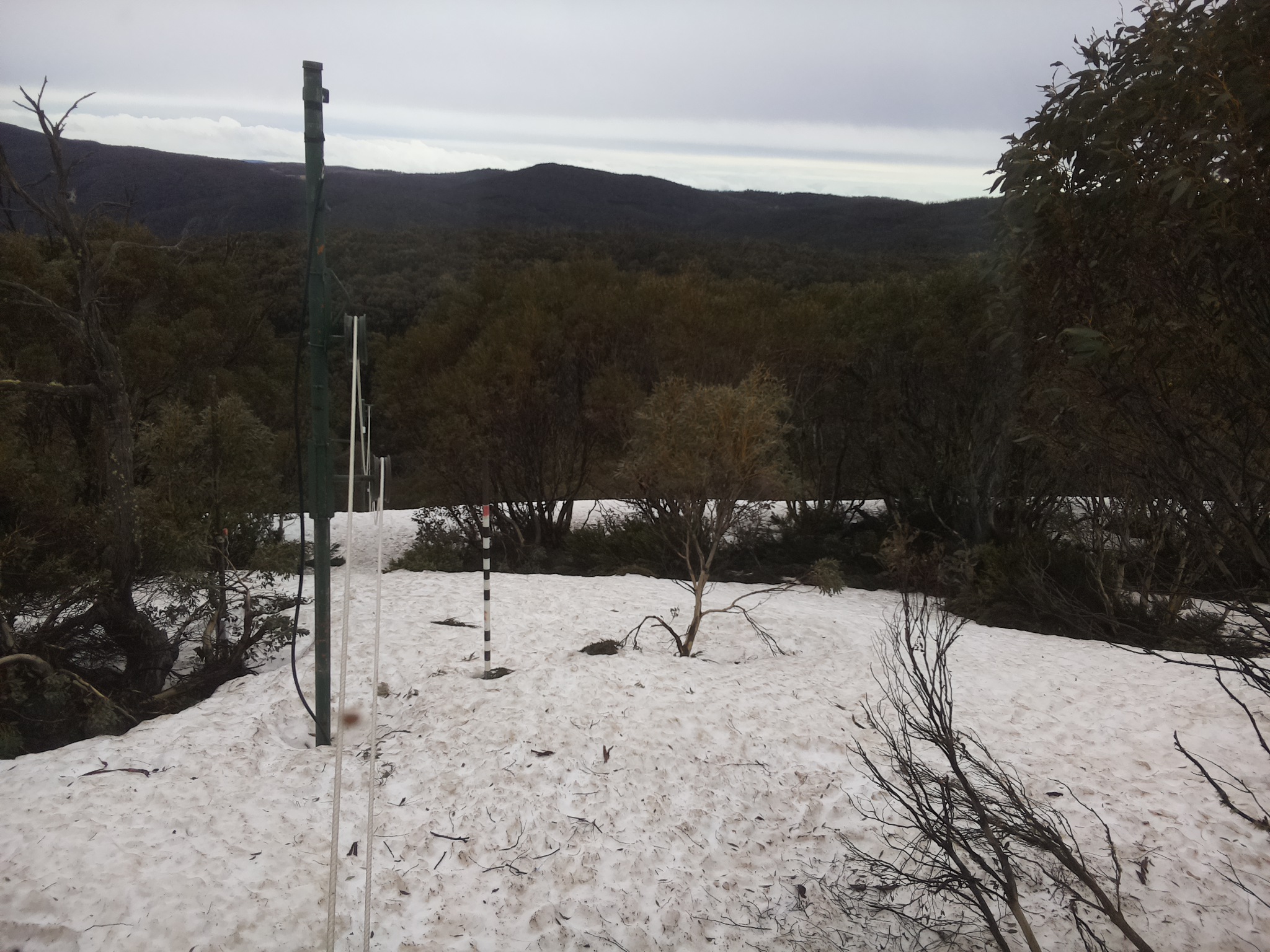 Bogong Web Cam 9:10am Monday 6th of October 2025