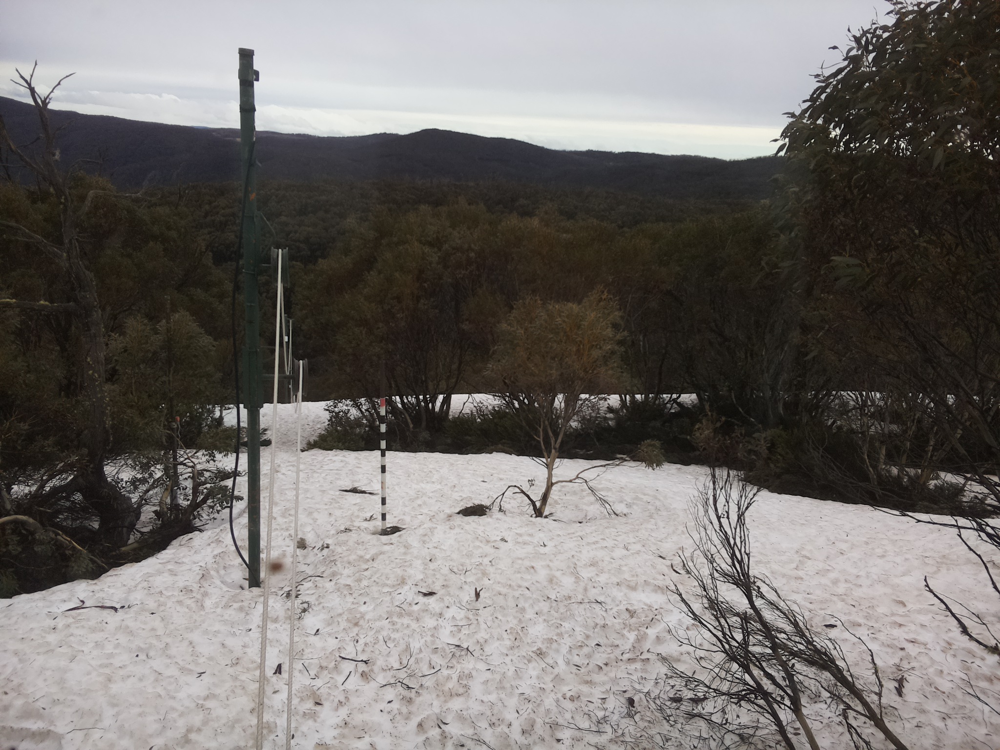 Bogong Web Cam 9:20am Monday 6th of October 2025