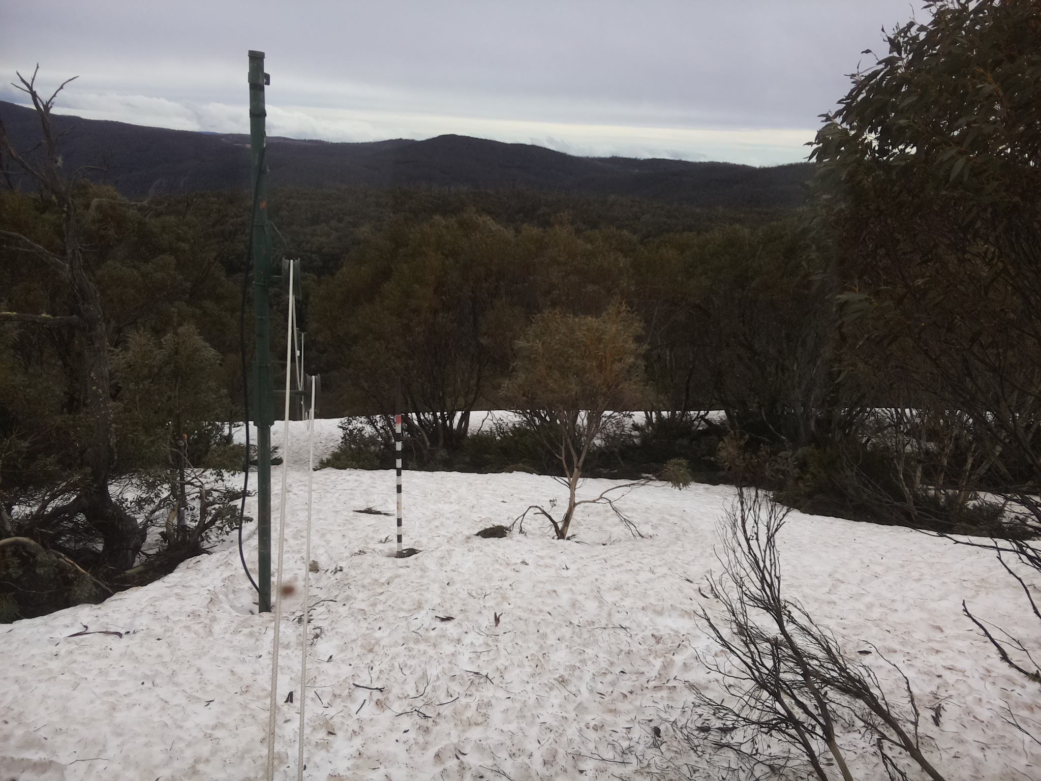 Bogong Web Cam 9:30am Monday 6th of October 2025