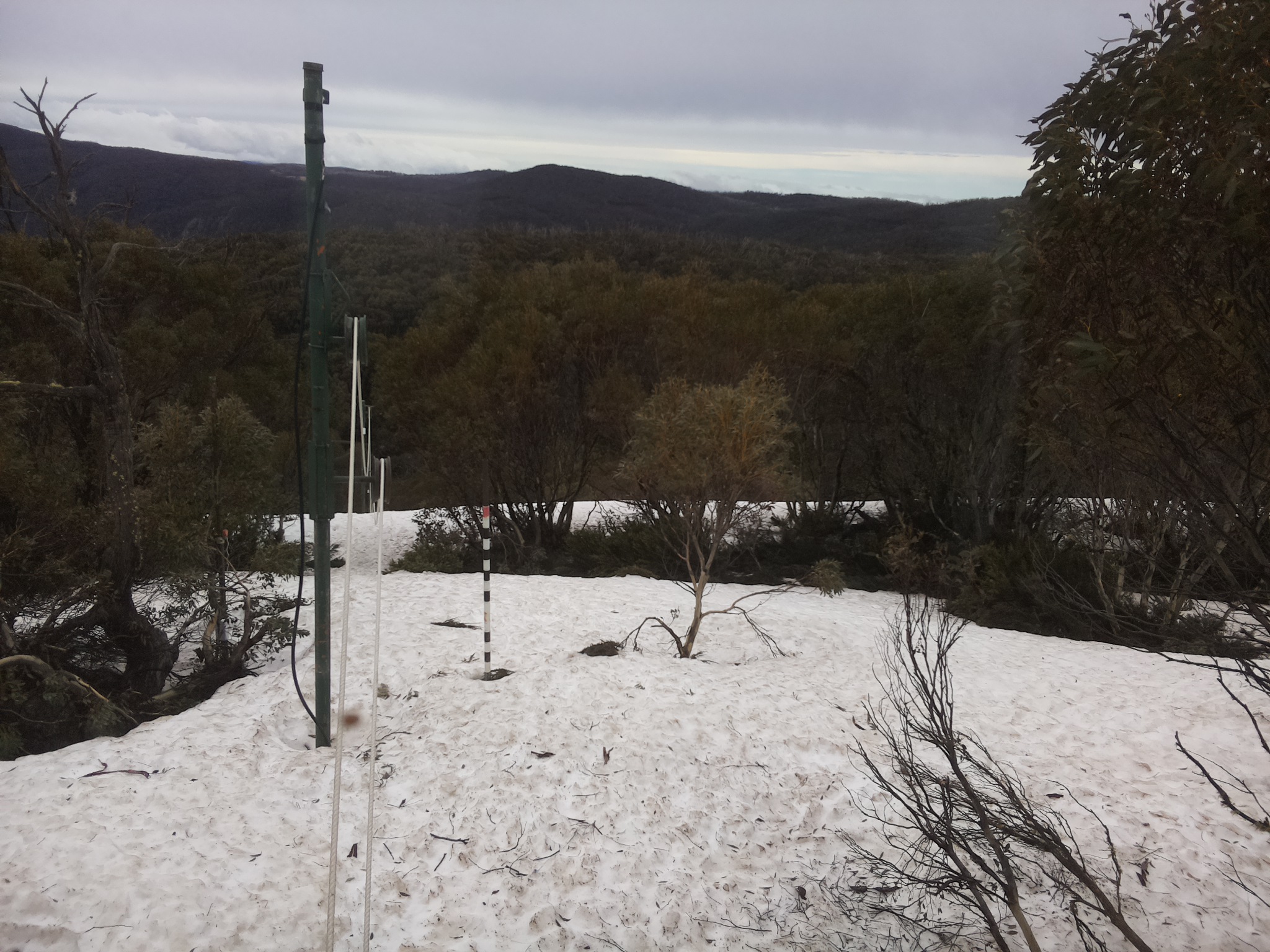Bogong Web Cam 9:40am Monday 6th of October 2025