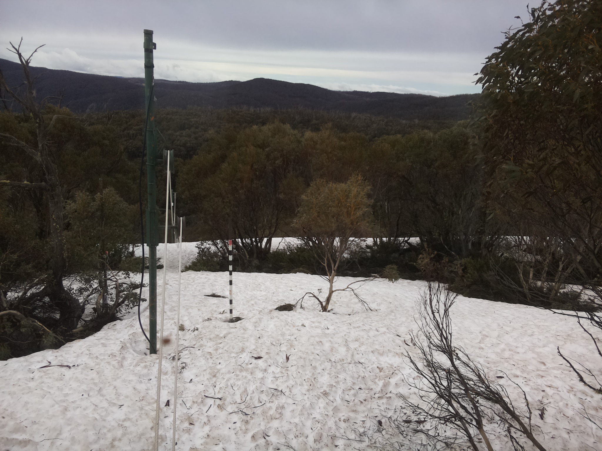 Bogong Web Cam 9:50am Monday 6th of October 2025