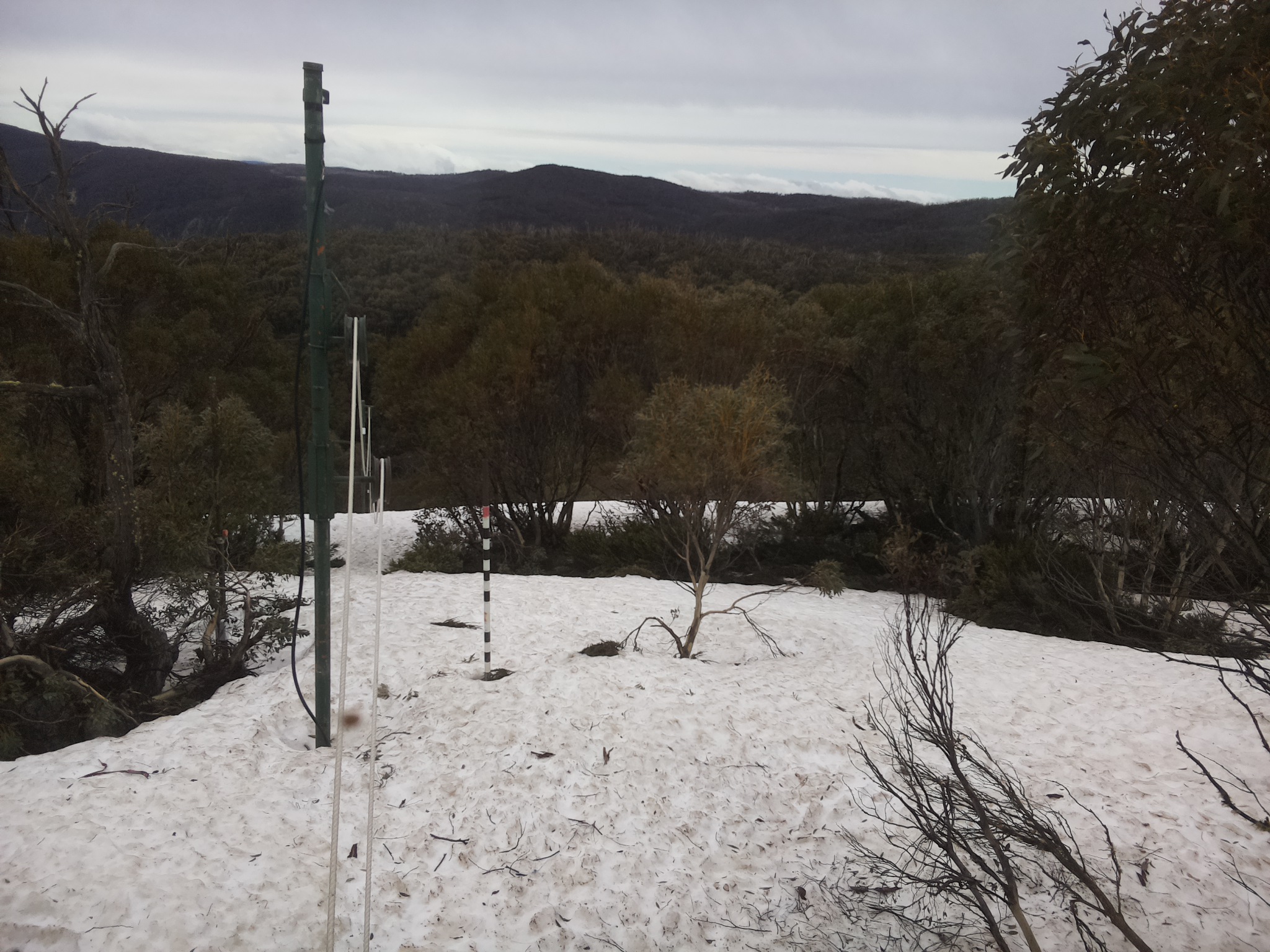 Bogong Web Cam 10:00am Monday 6th of October 2025
