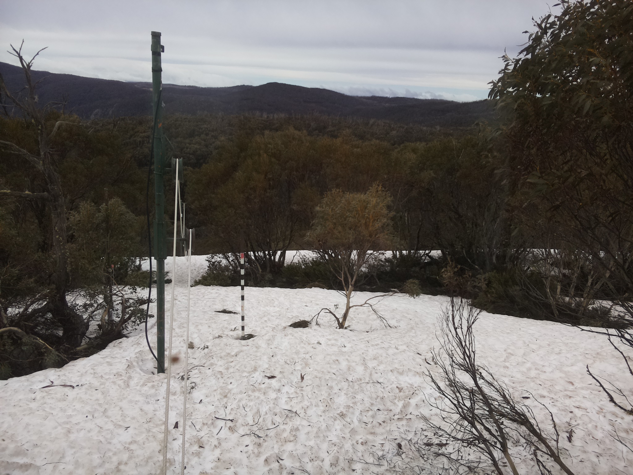 Bogong Web Cam 10:10am Monday 6th of October 2025