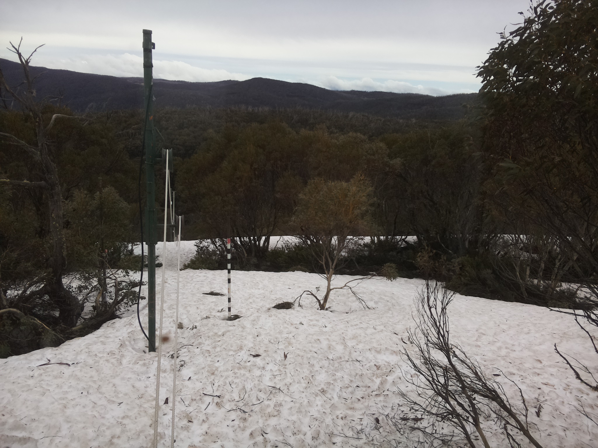 Bogong Web Cam 10:40am Monday 6th of October 2025