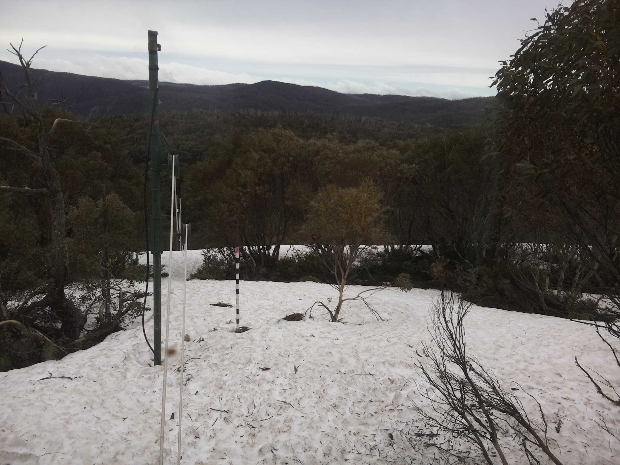 Bogong Web Cam 10:50am Monday 6th of October 2025