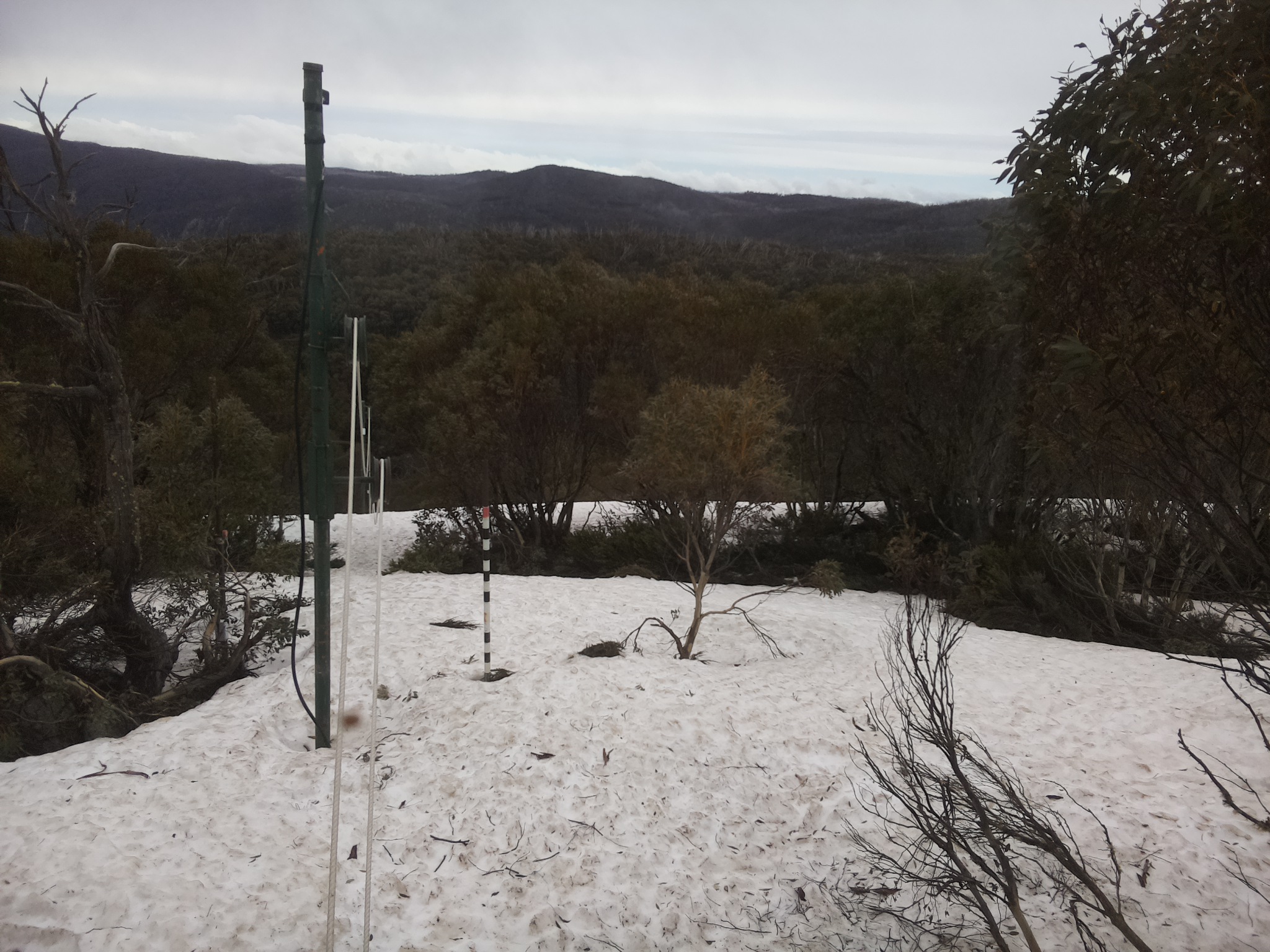 Bogong Web Cam 11:00am Monday 6th of October 2025