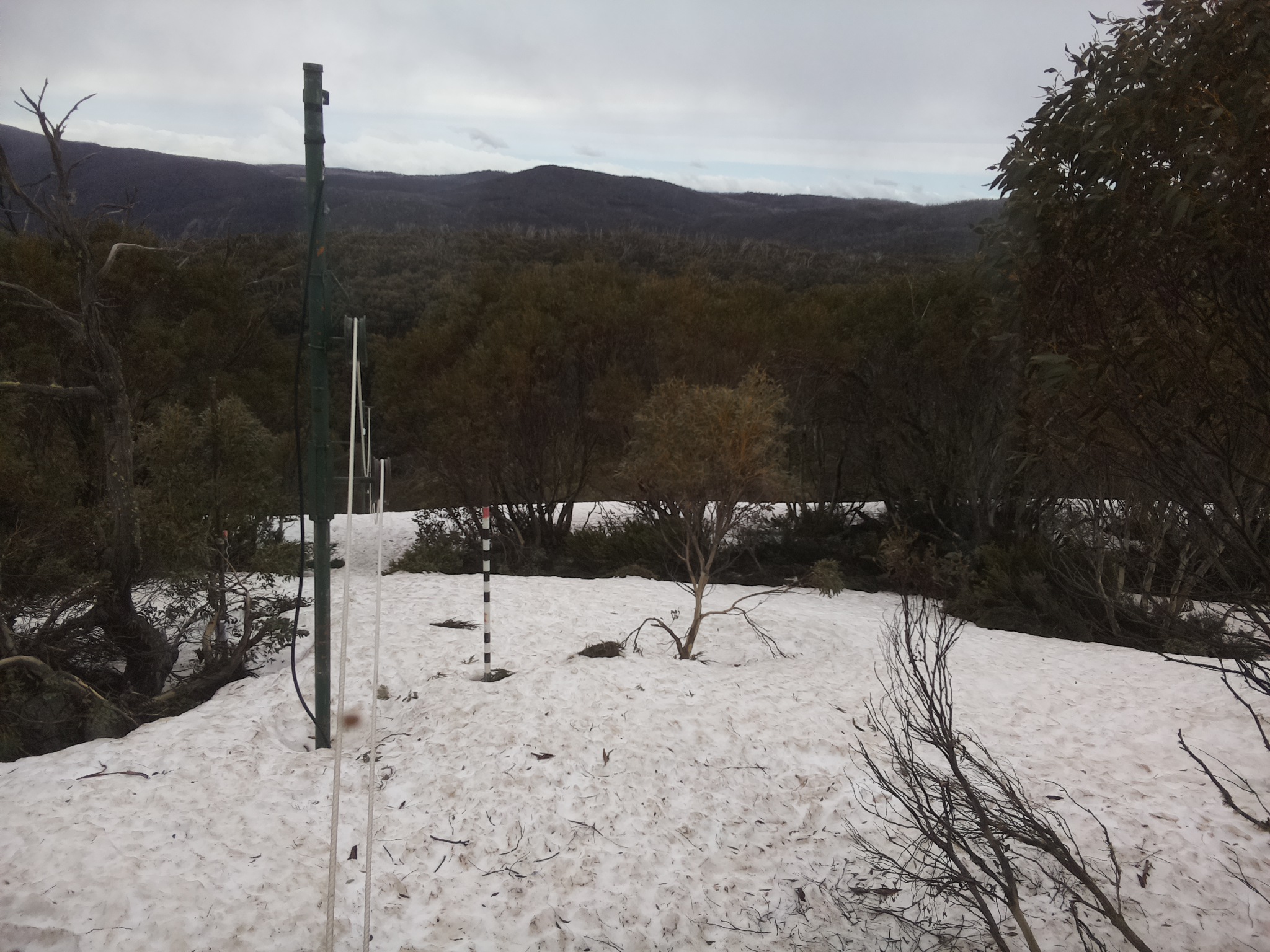 Bogong Web Cam 11:10am Monday 6th of October 2025