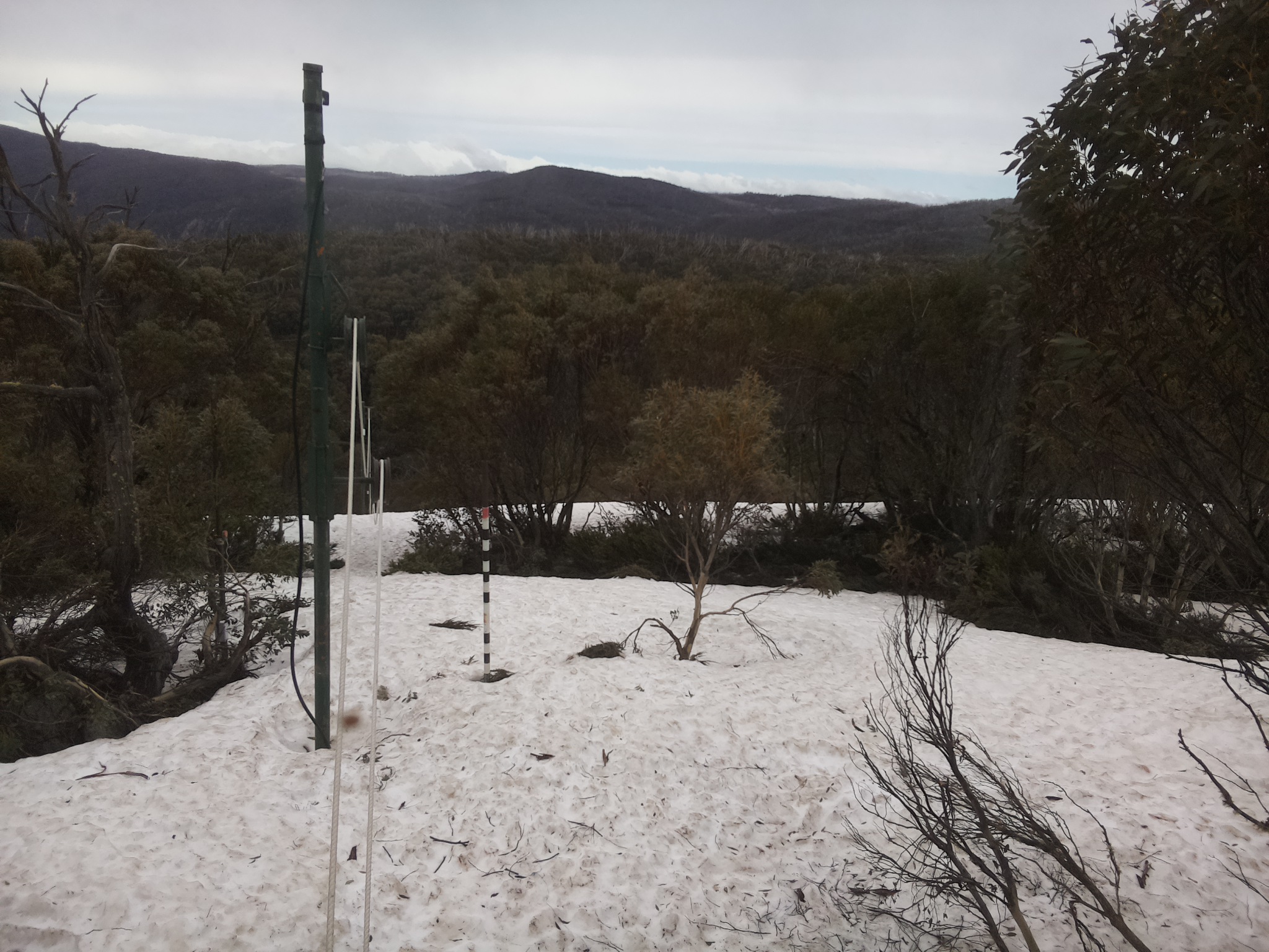Bogong Web Cam 11:20am Monday 6th of October 2025