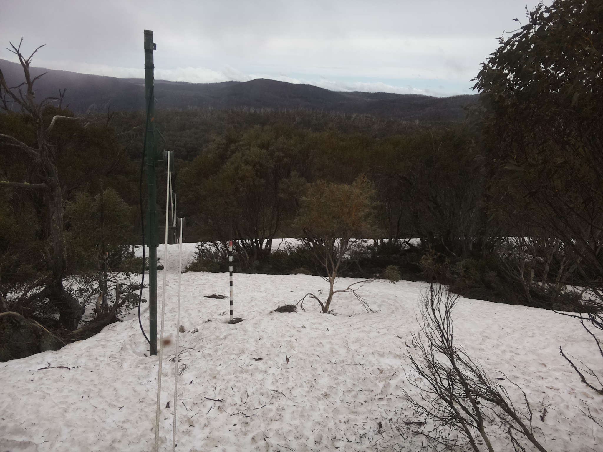 Bogong Web Cam 11:30am Monday 6th of October 2025