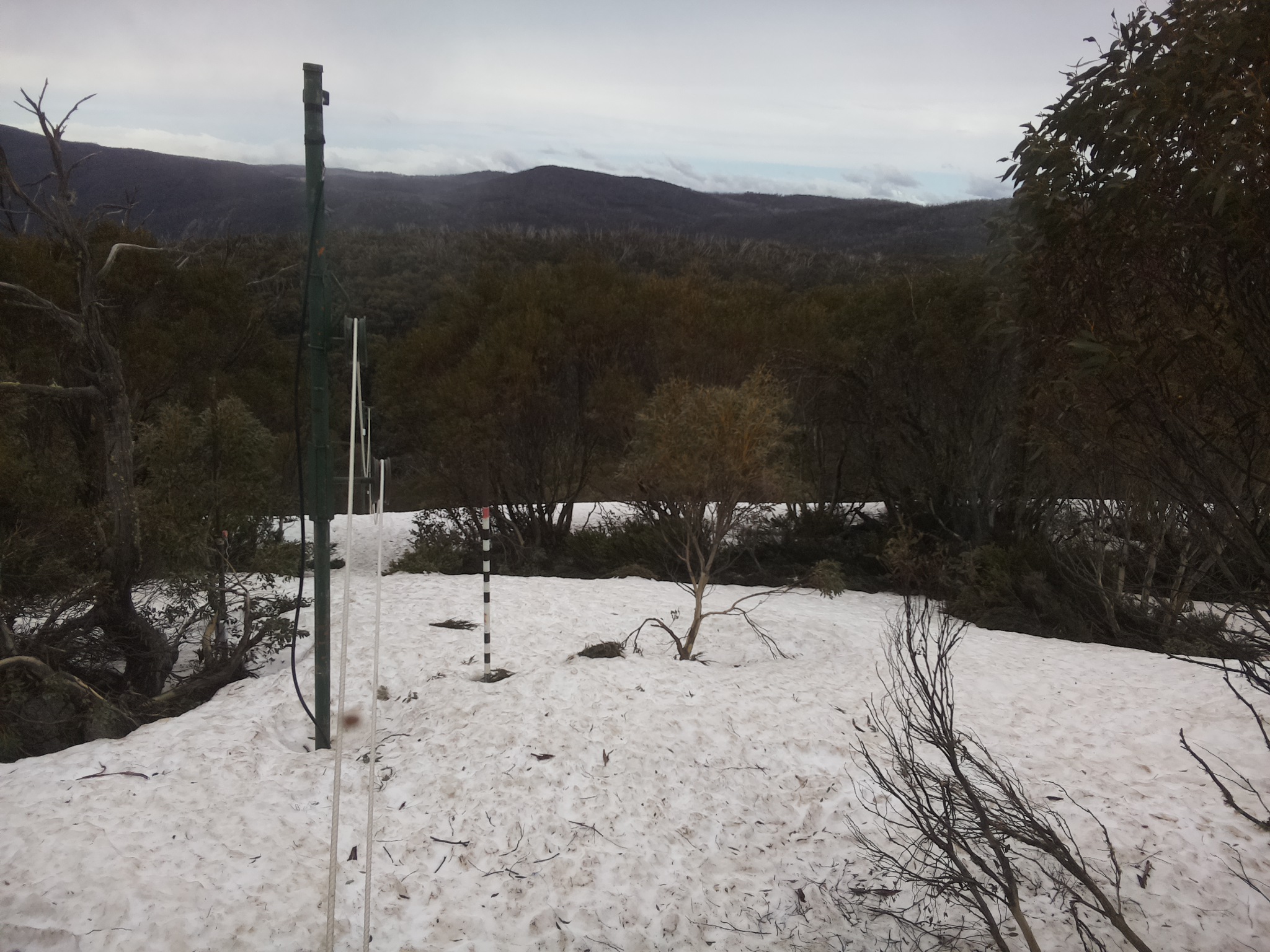 Bogong Web Cam 11:40am Monday 6th of October 2025