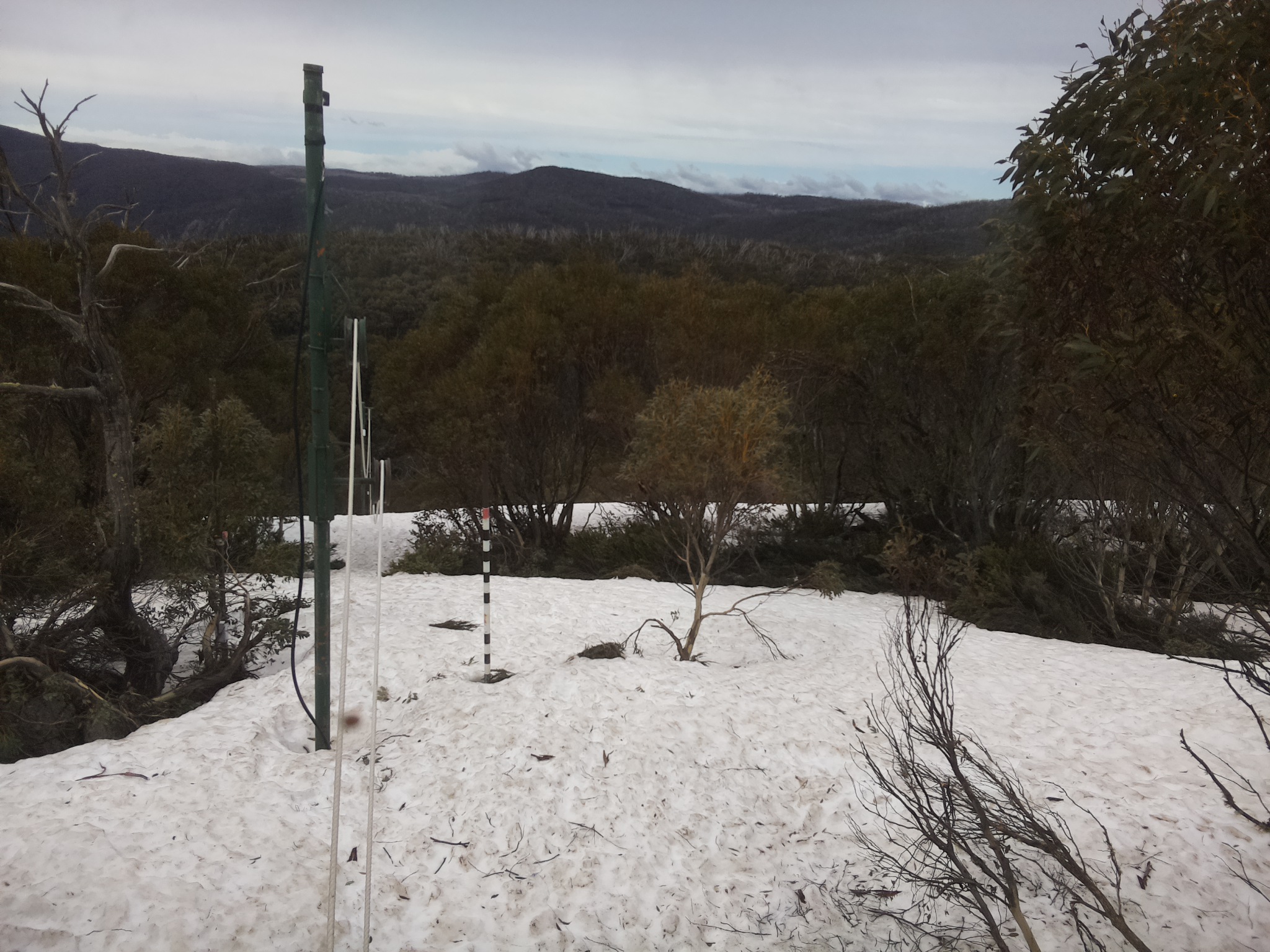 Bogong Web Cam 11:50am Monday 6th of October 2025