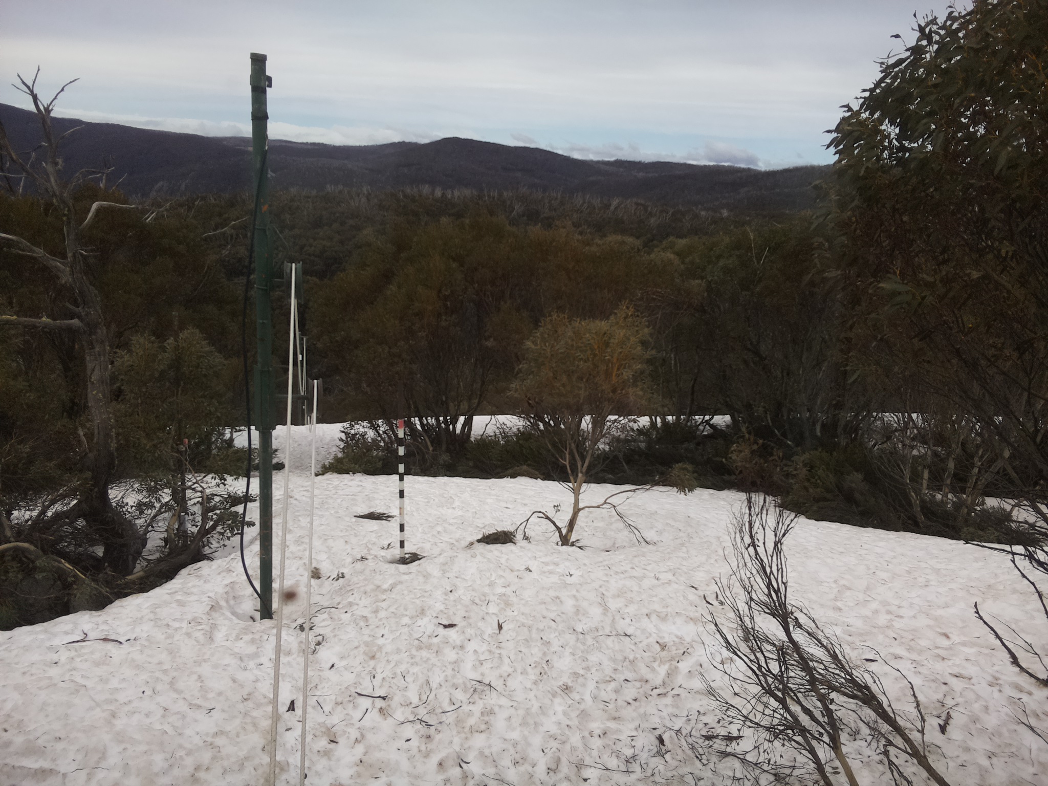 Bogong Web Cam 12:00pm Monday 6th of October 2025