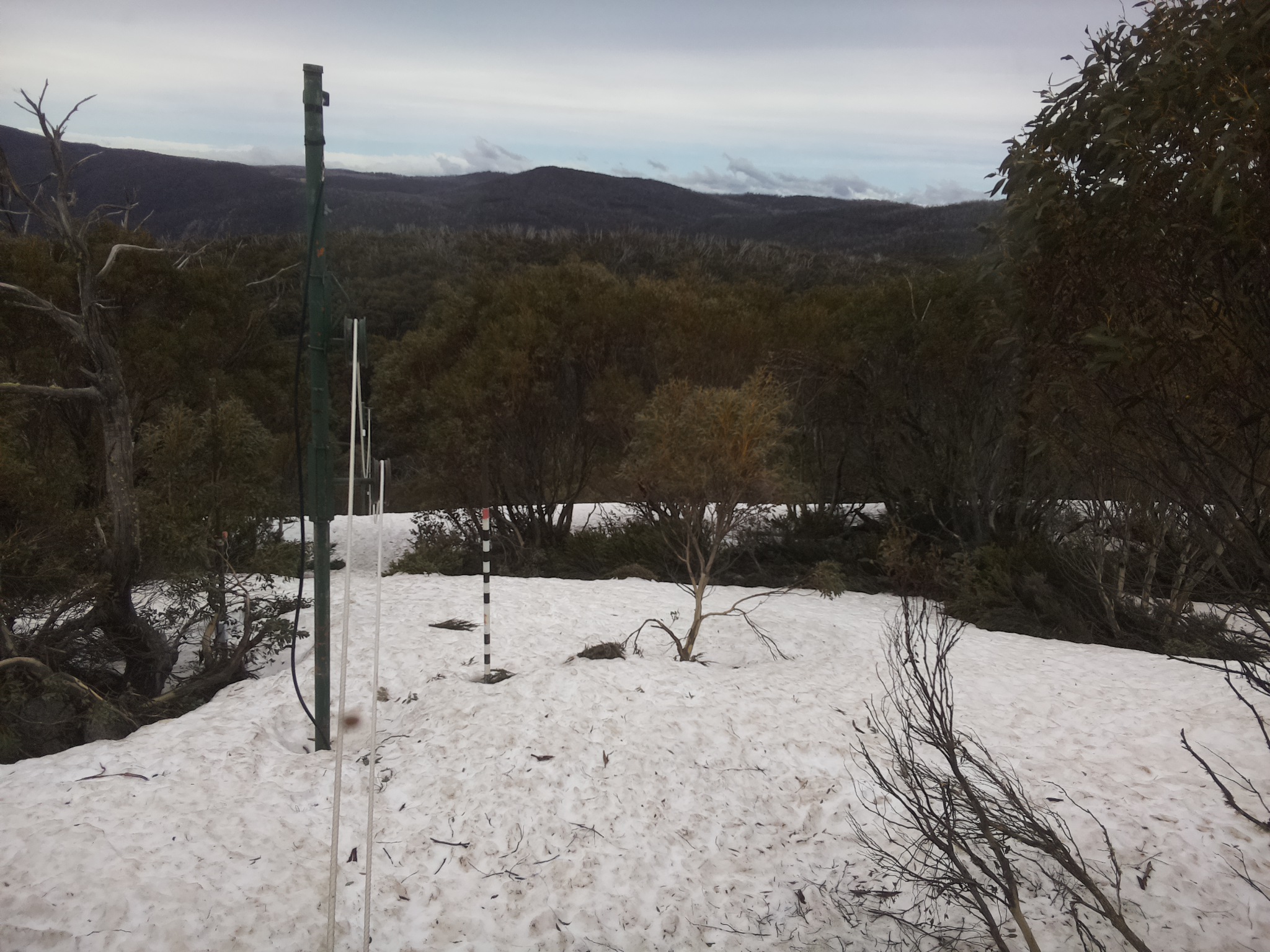 Bogong Web Cam 12:10pm Monday 6th of October 2025