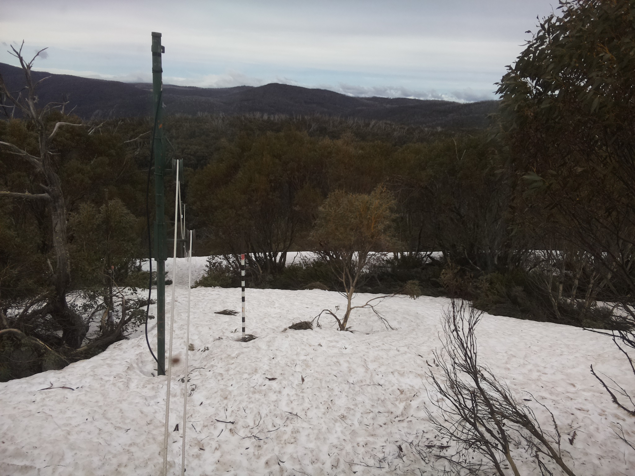 Bogong Web Cam 12:20pm Monday 6th of October 2025
