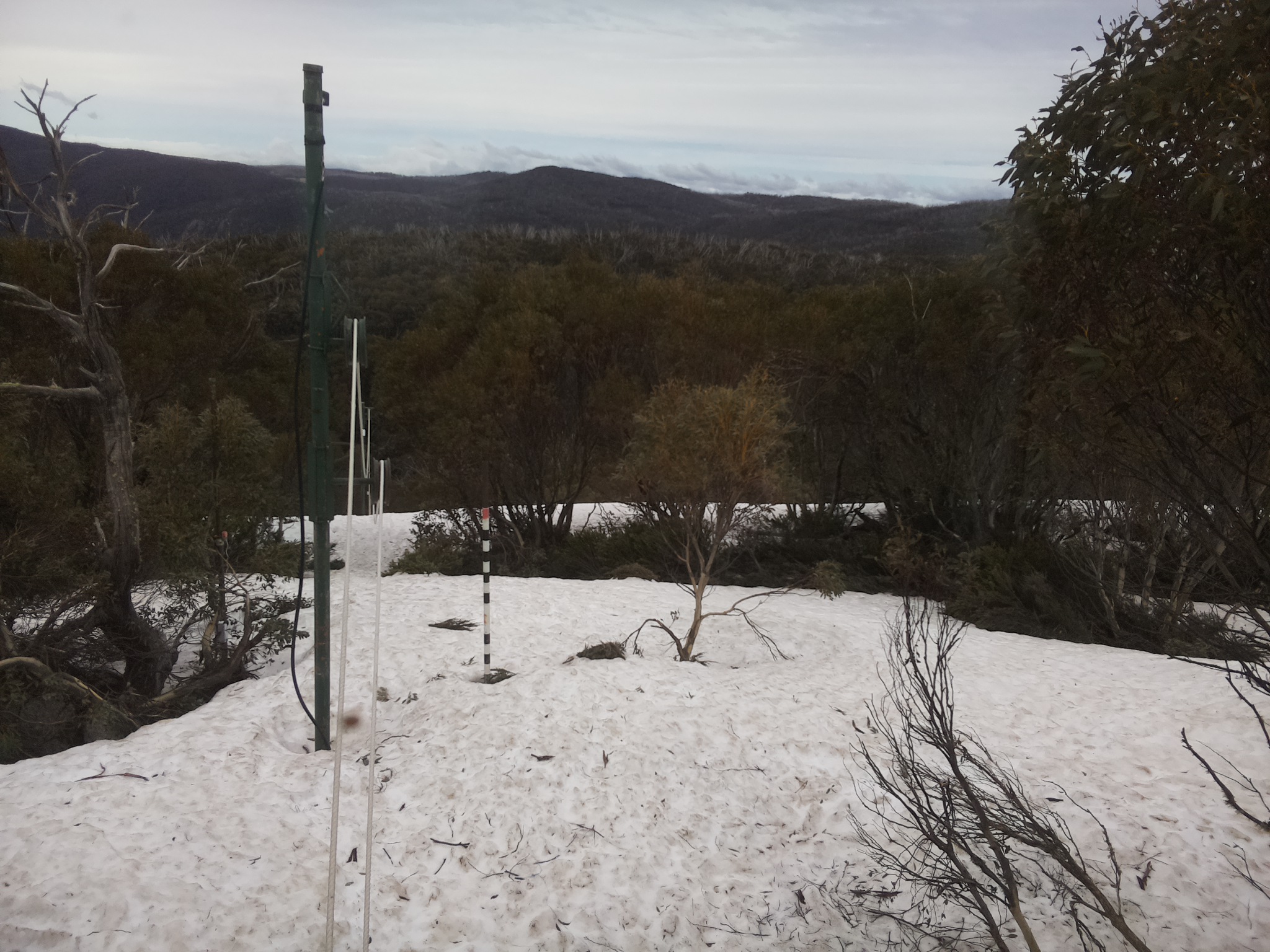 Bogong Web Cam 12:30pm Monday 6th of October 2025