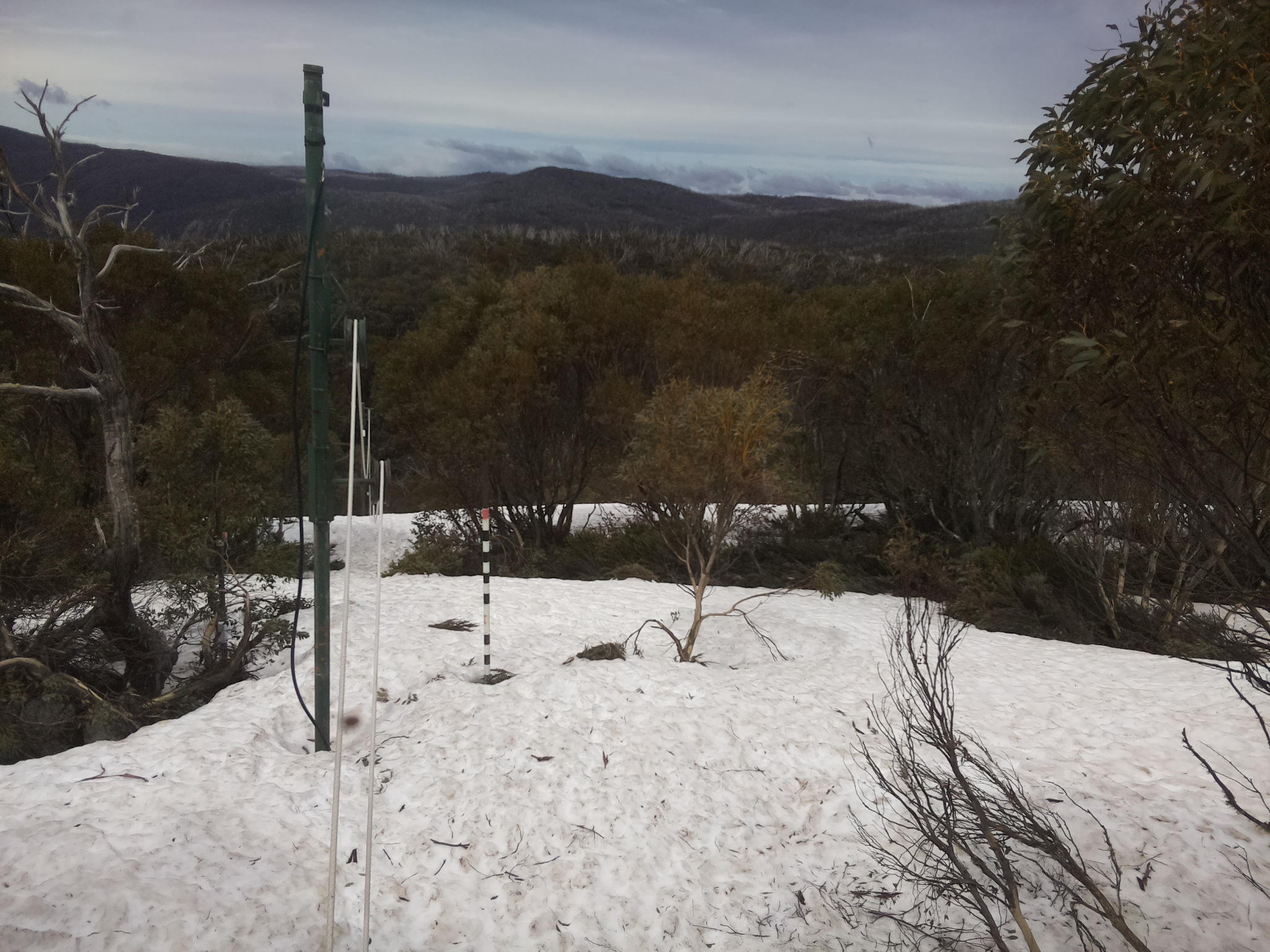 Bogong Web Cam 12:40pm Monday 6th of October 2025