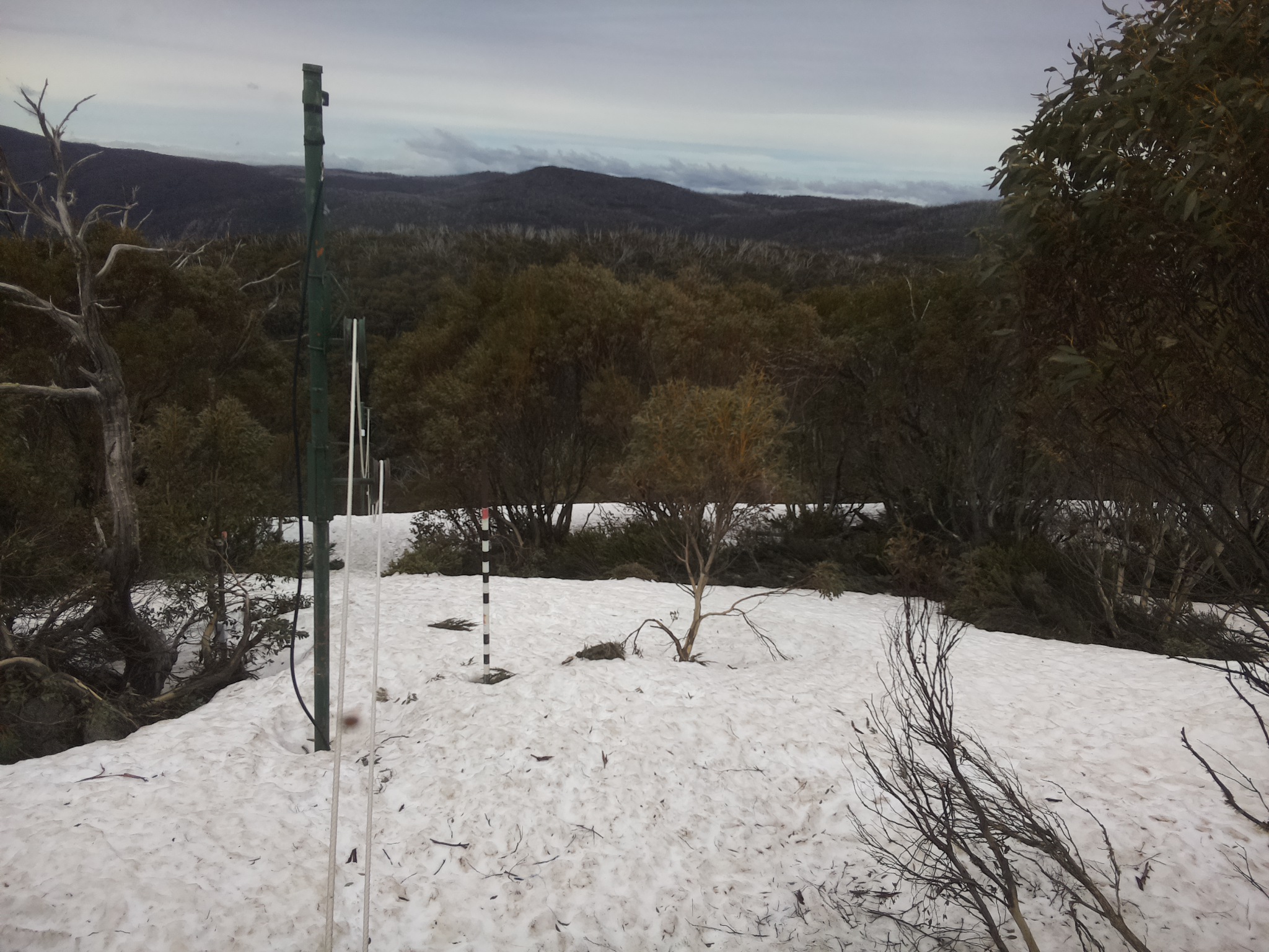 Bogong Web Cam 12:50pm Monday 6th of October 2025