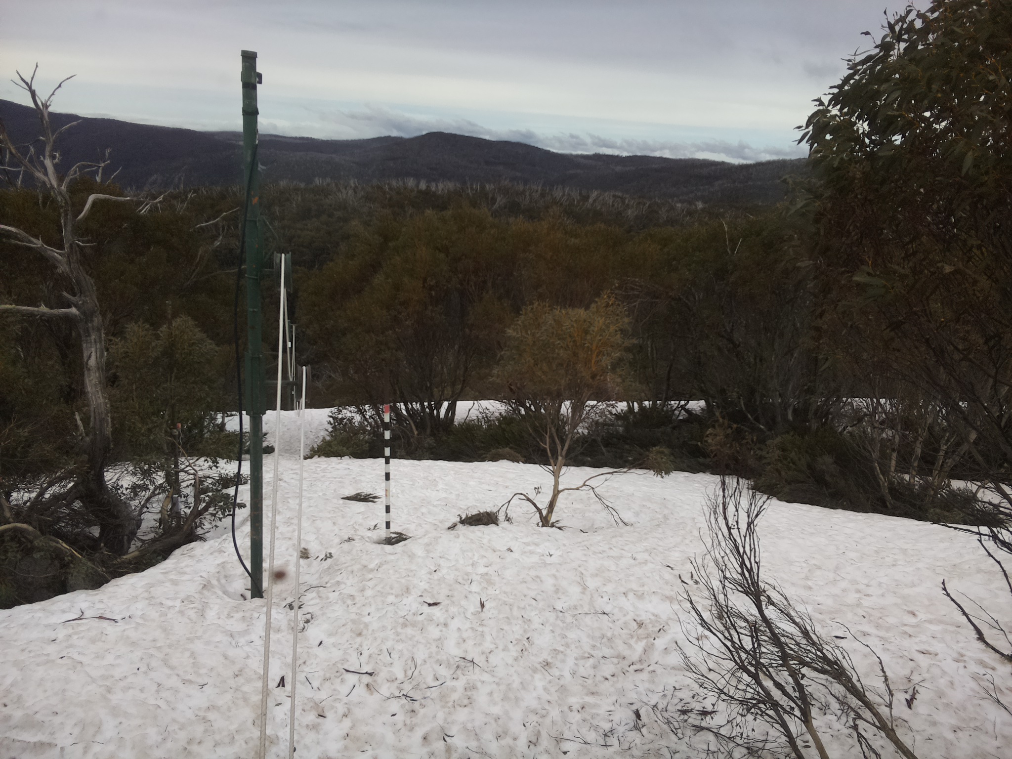 Bogong Web Cam 1:00pm Monday 6th of October 2025
