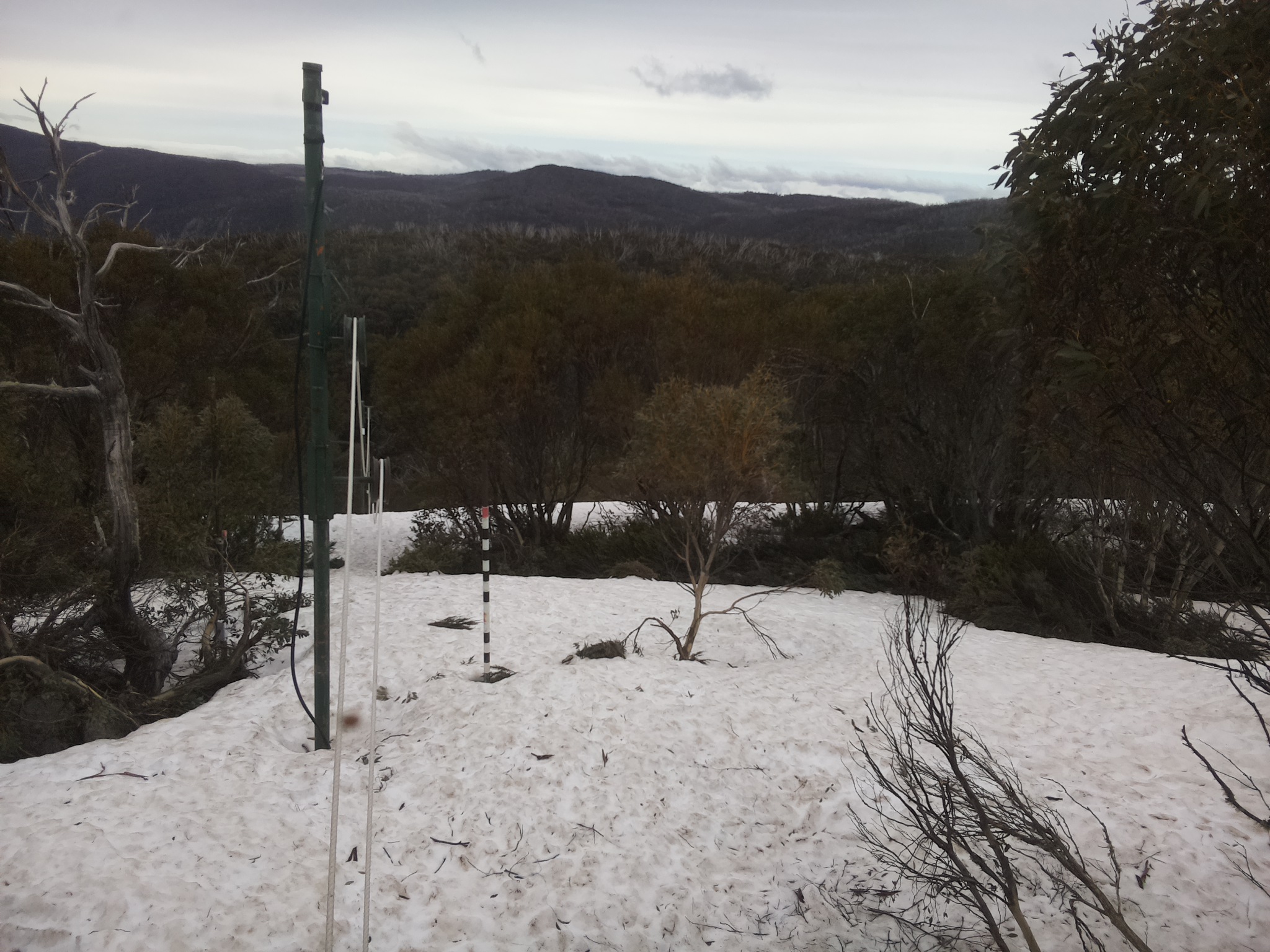 Bogong Web Cam 1:10pm Monday 6th of October 2025