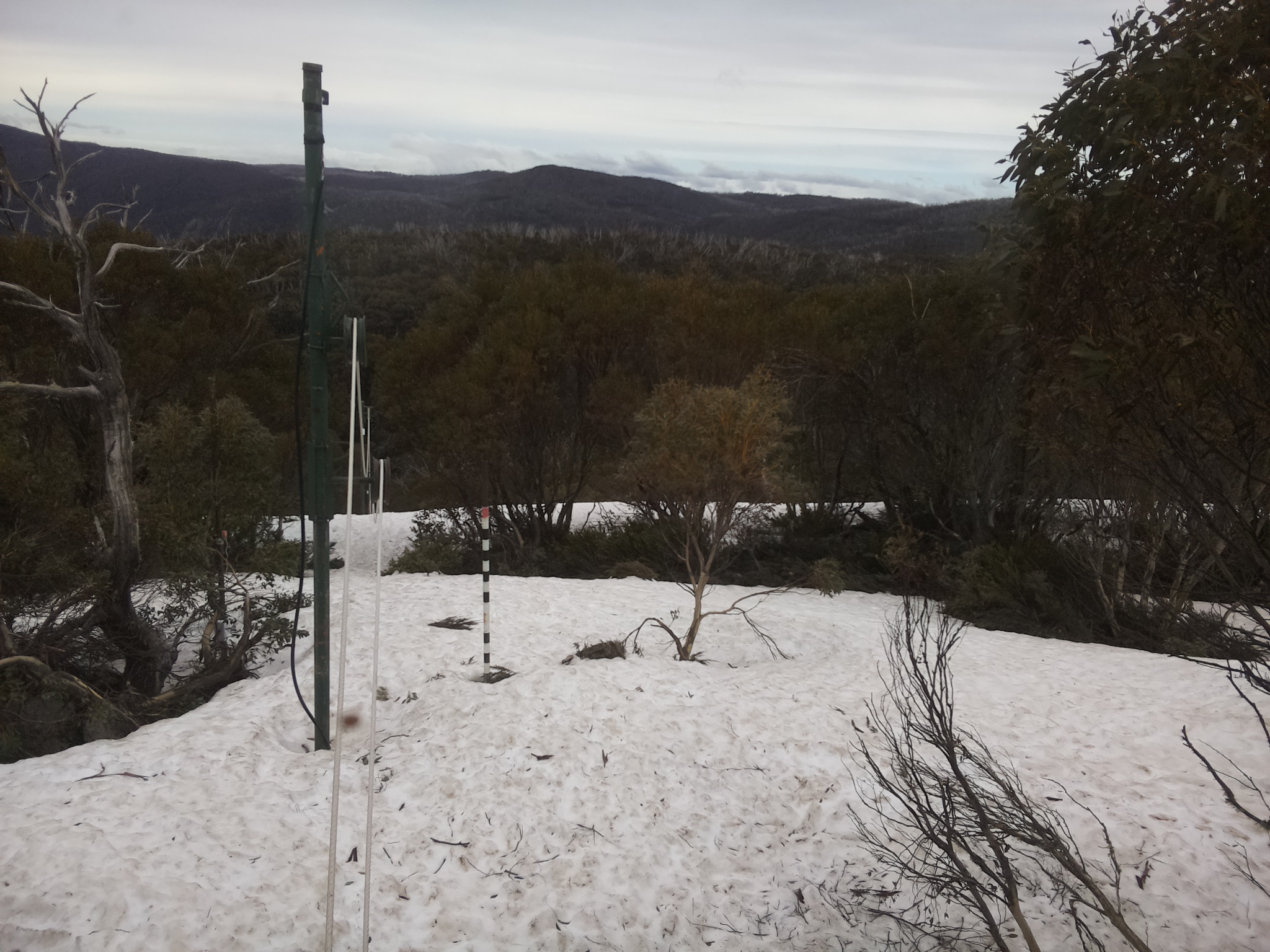 Bogong Web Cam 1:20pm Monday 6th of October 2025