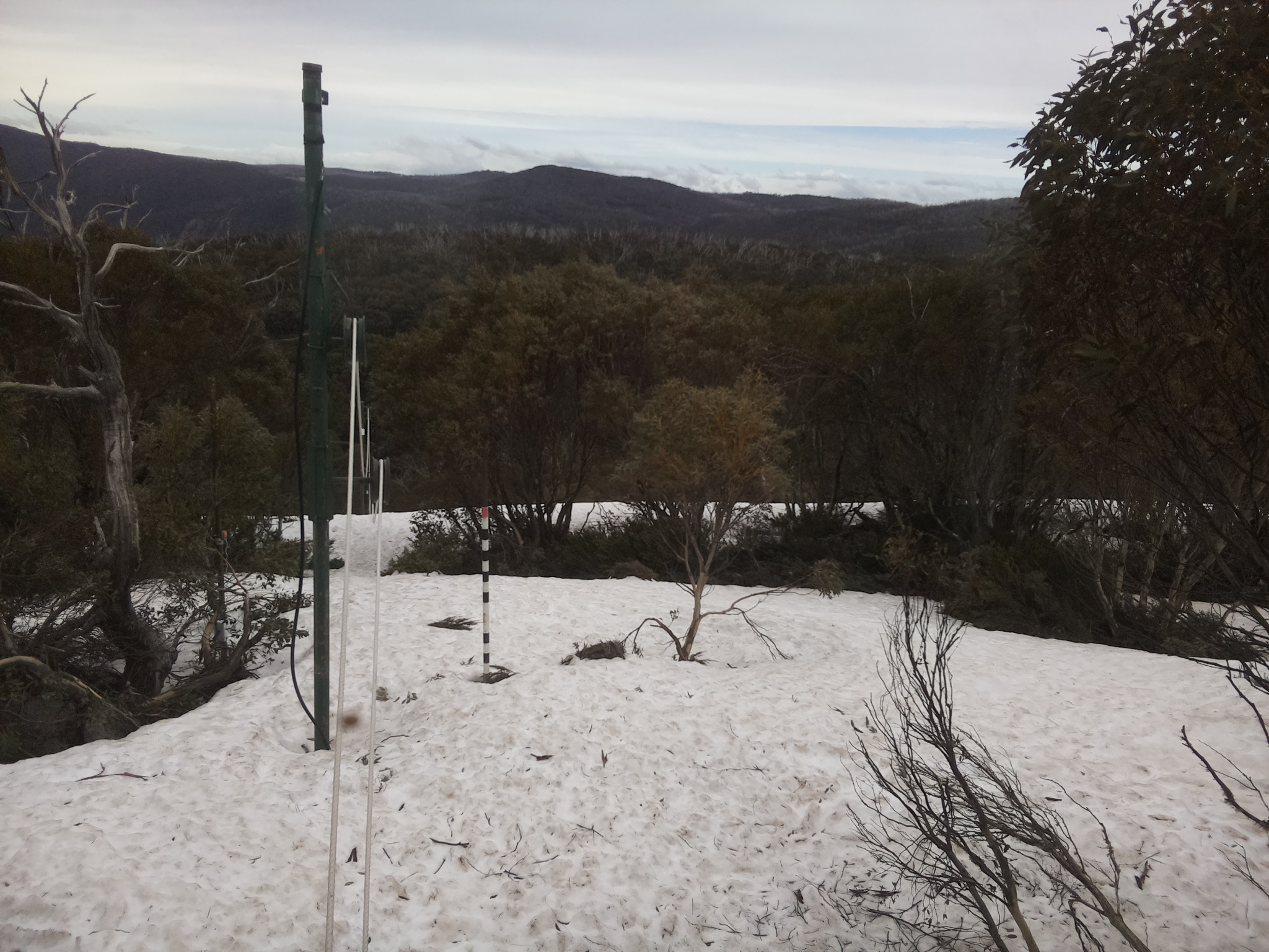 Bogong Web Cam 1:30pm Monday 6th of October 2025