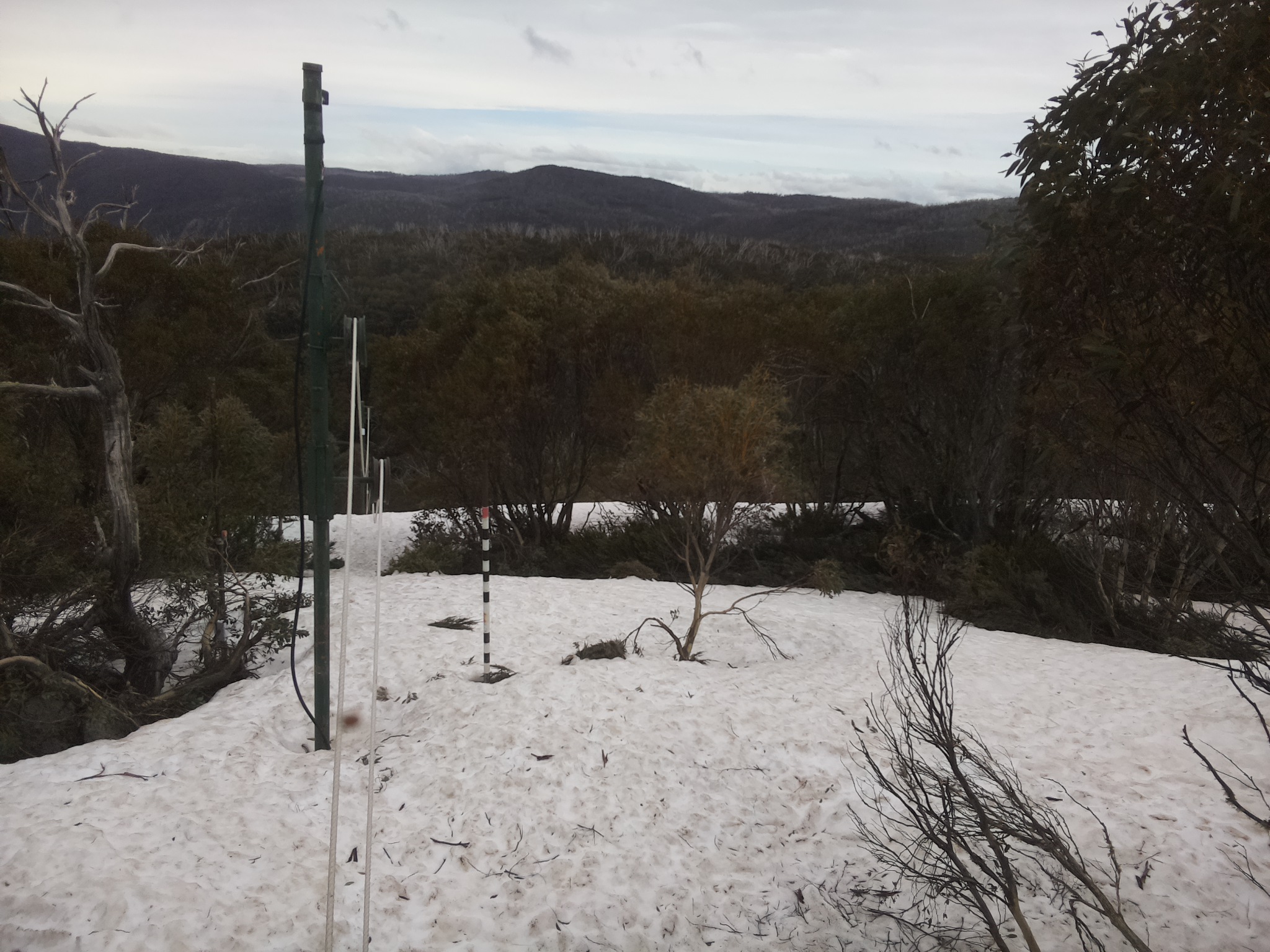 Bogong Web Cam 1:40pm Monday 6th of October 2025