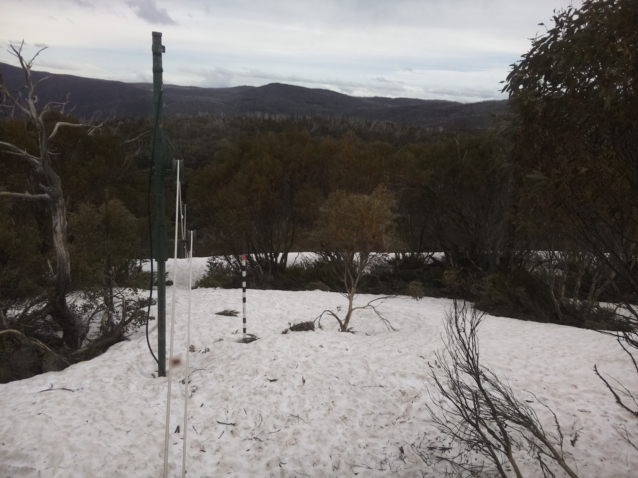 Bogong Web Cam 1:50pm Monday 6th of October 2025