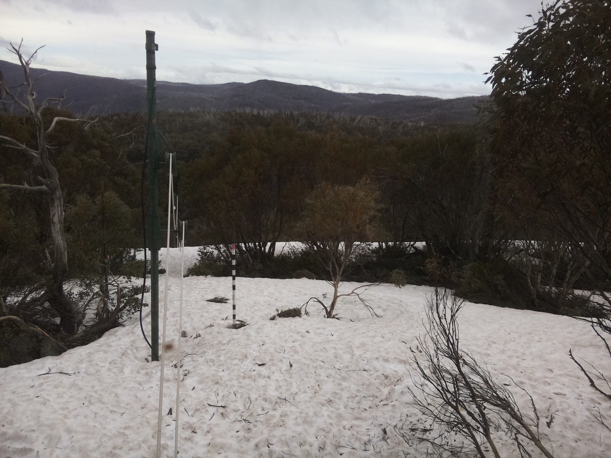 Bogong Web Cam 2:00pm Monday 6th of October 2025