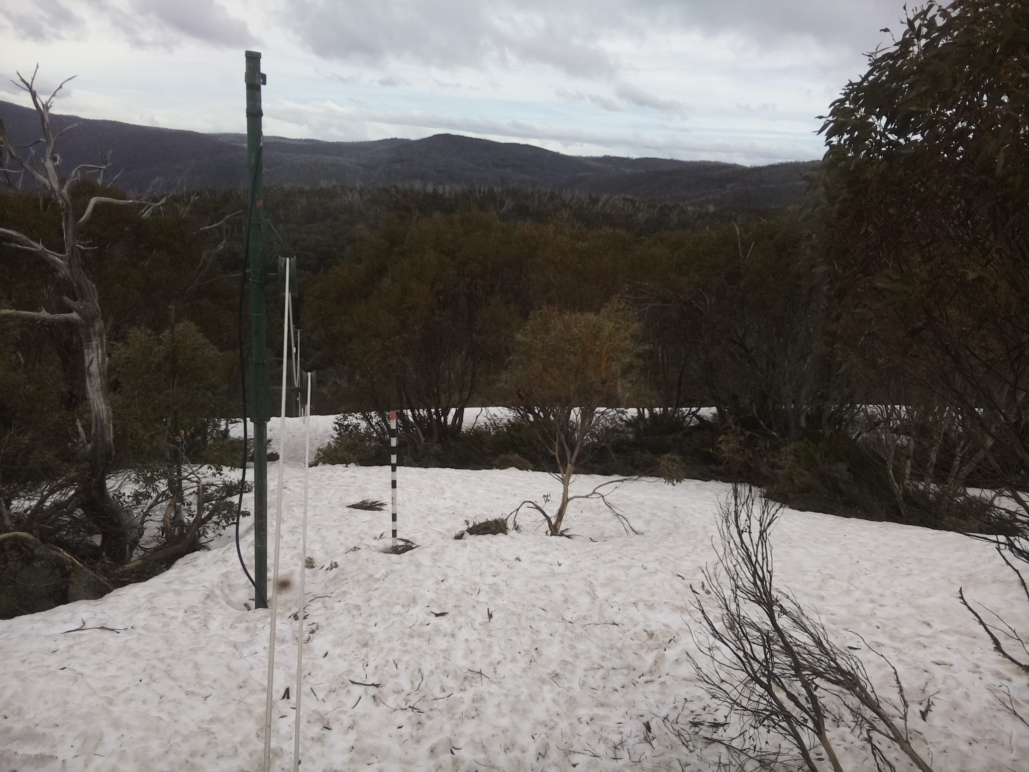 Bogong Web Cam 2:20pm Monday 6th of October 2025