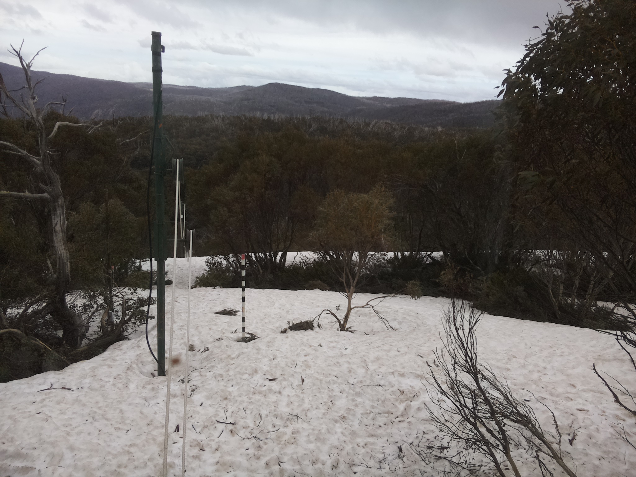 Bogong Web Cam 2:30pm Monday 6th of October 2025