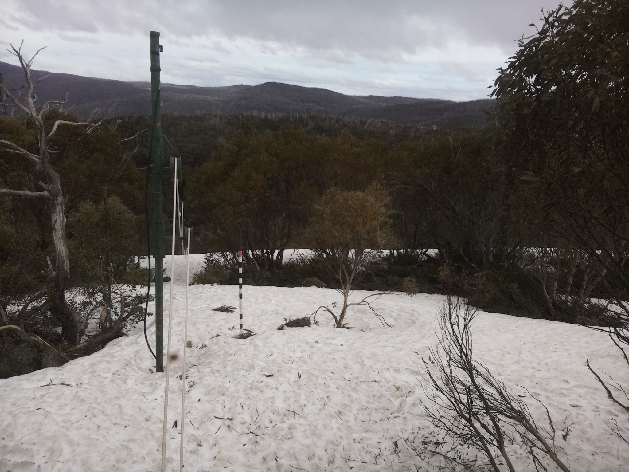Bogong Web Cam 2:40pm Monday 6th of October 2025