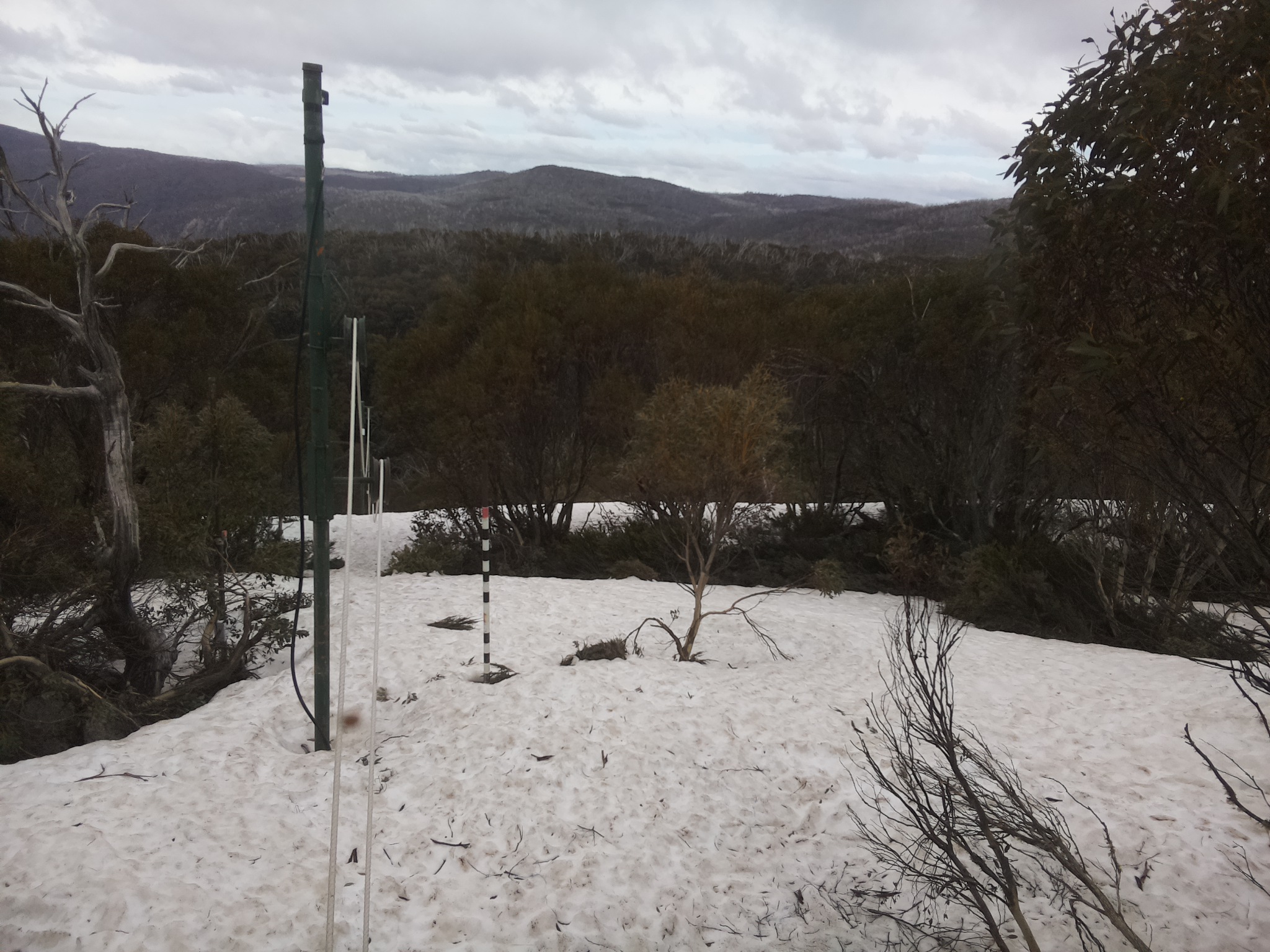 Bogong Web Cam 2:50pm Monday 6th of October 2025