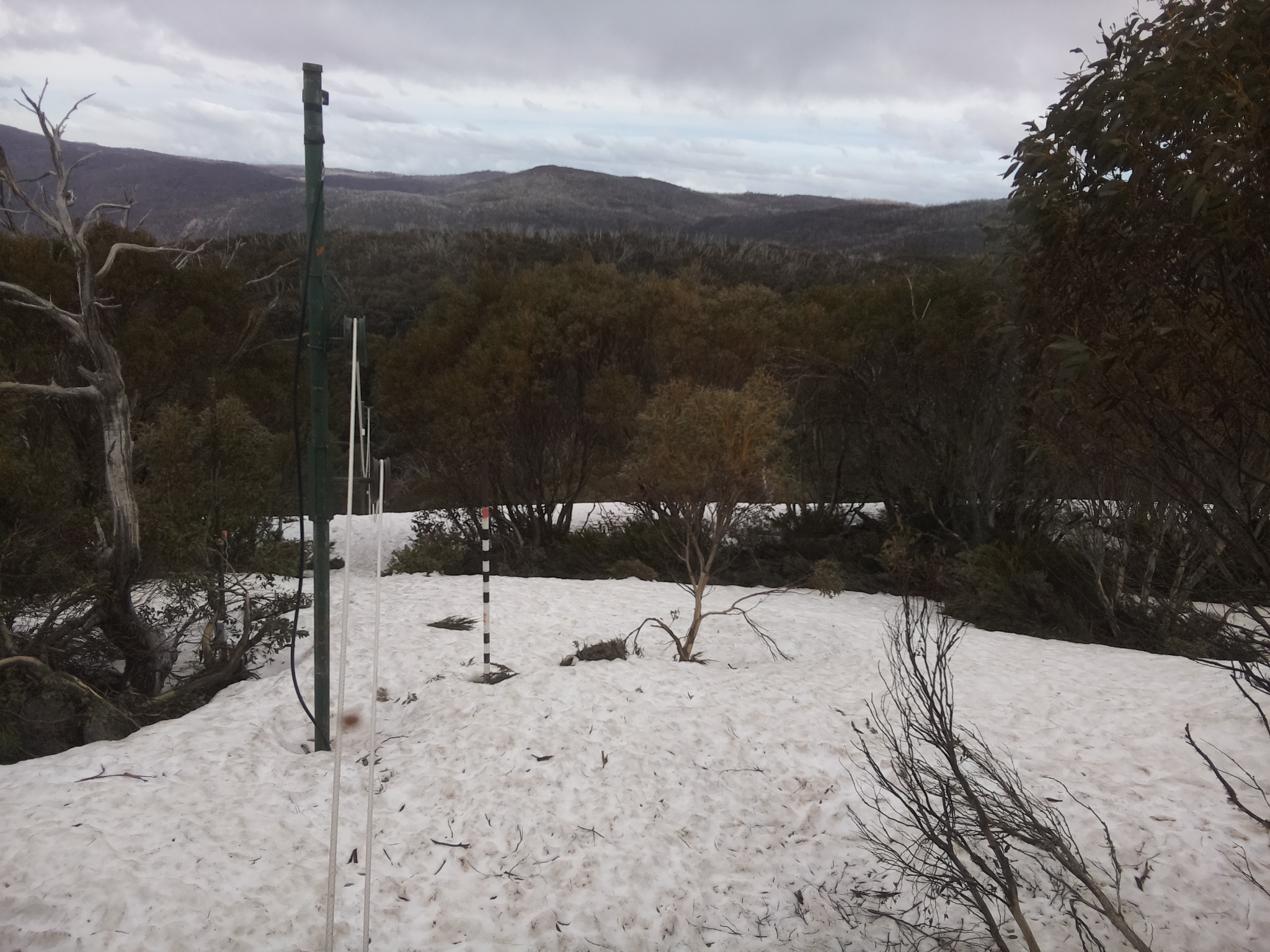 Bogong Web Cam 3:10pm Monday 6th of October 2025