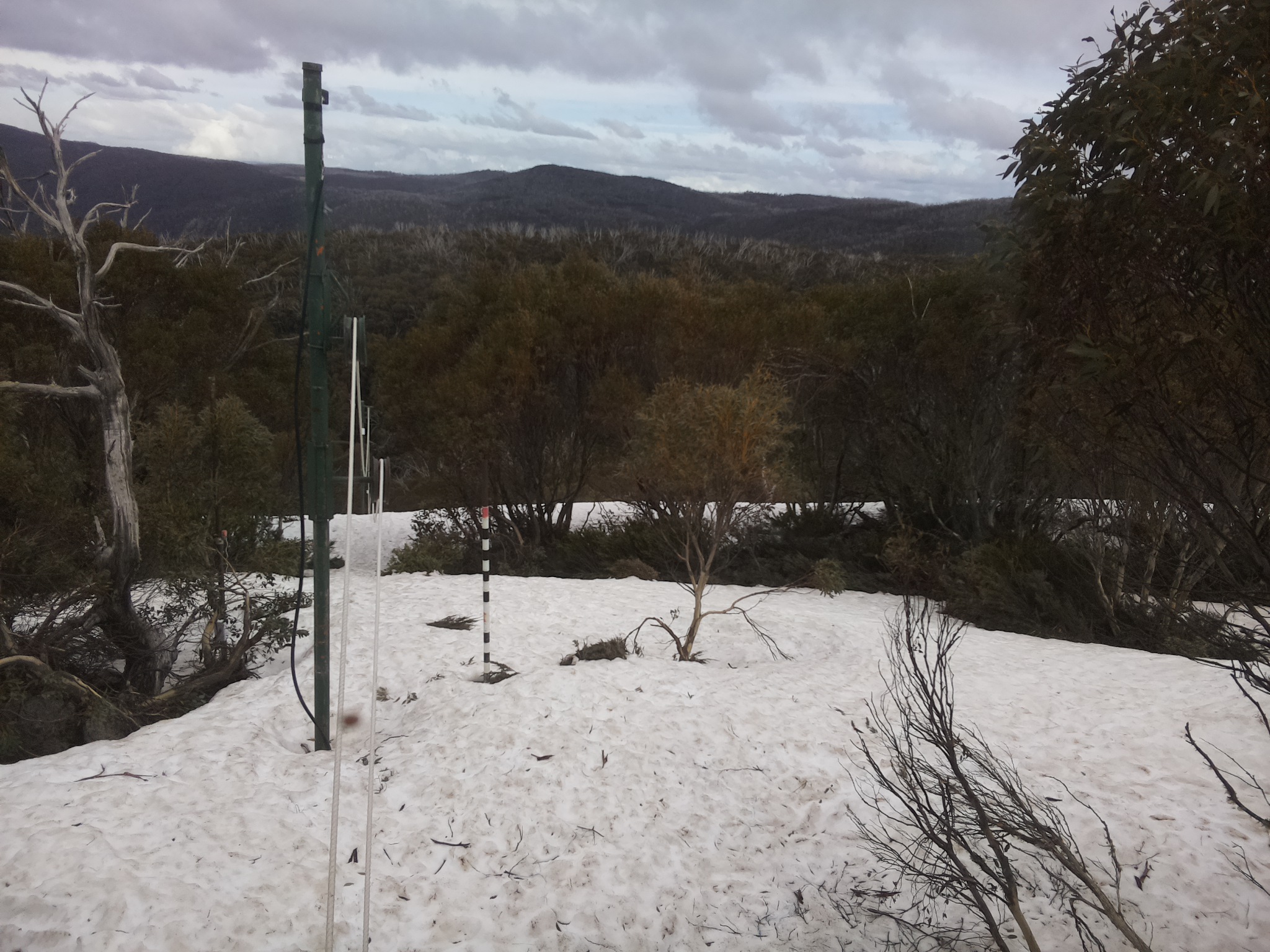 Bogong Web Cam 3:30pm Monday 6th of October 2025