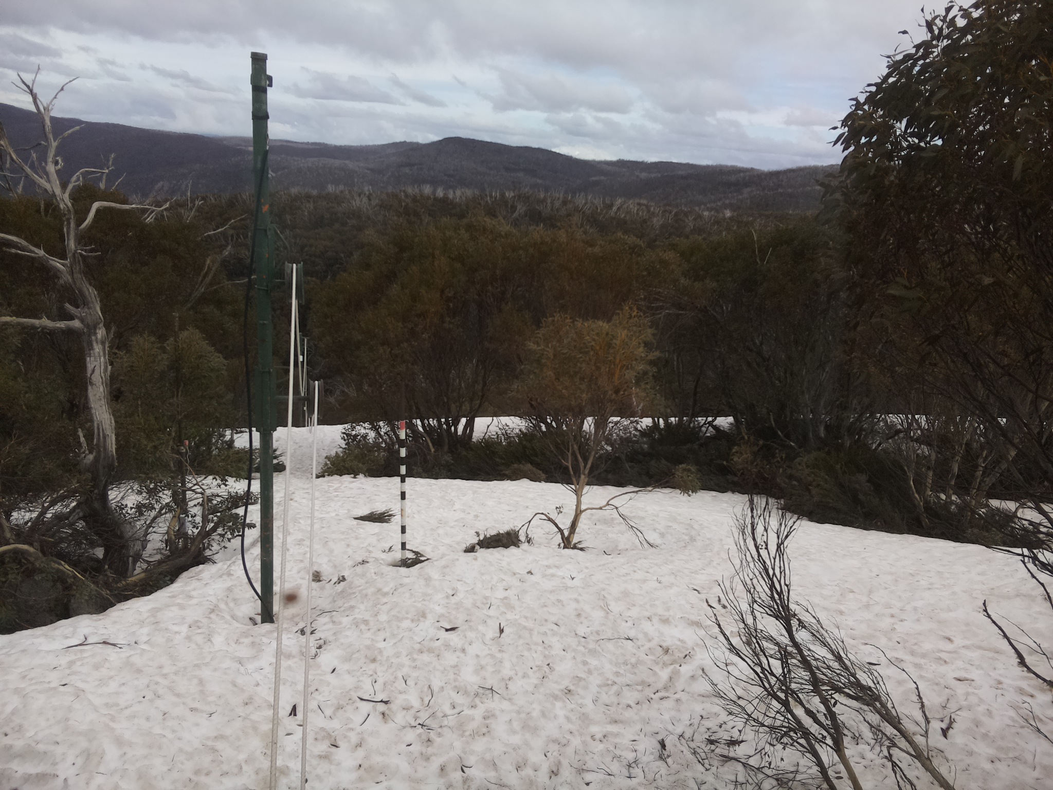 Bogong Web Cam 3:40pm Monday 6th of October 2025