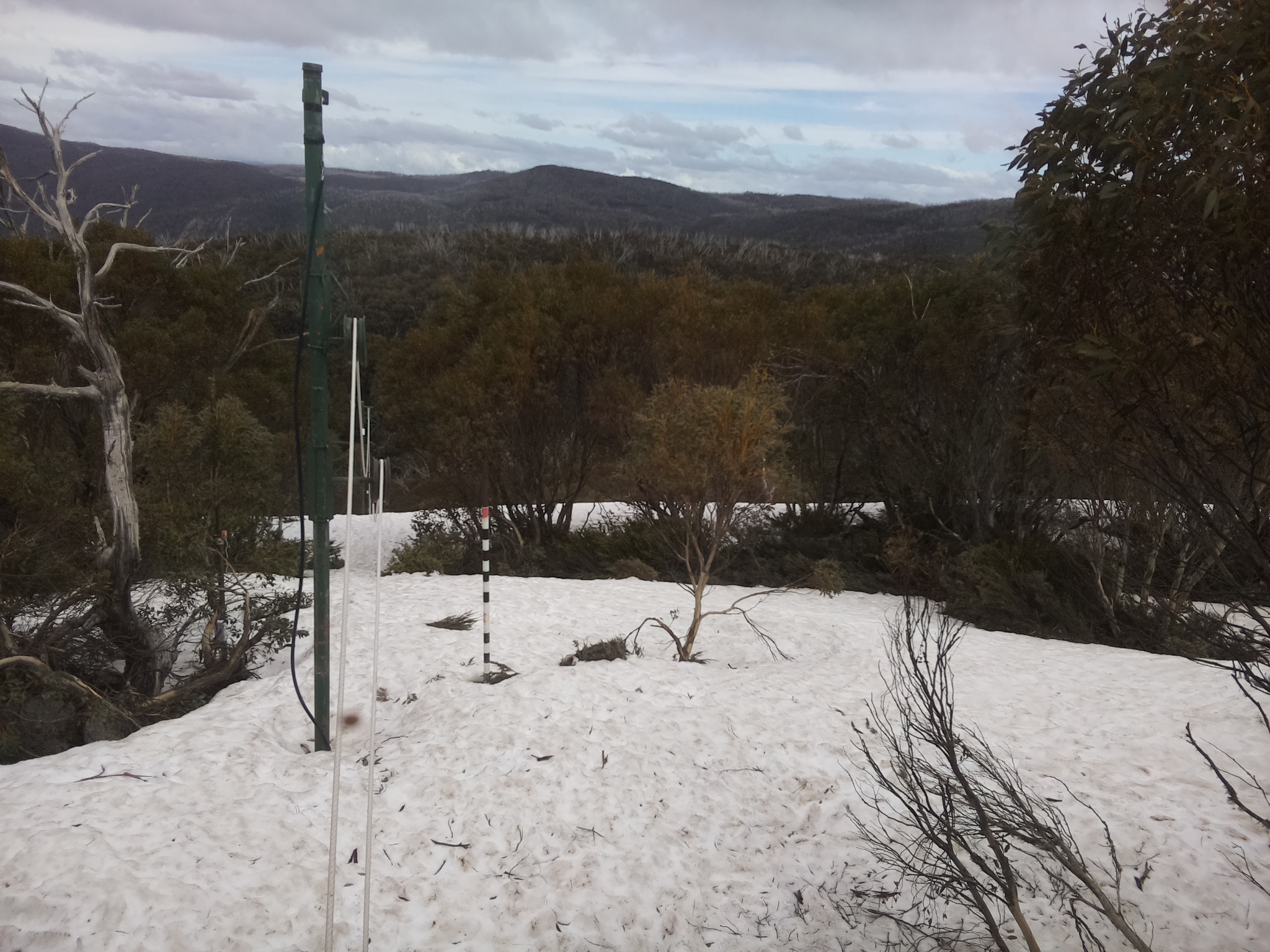 Bogong Web Cam 3:50pm Monday 6th of October 2025