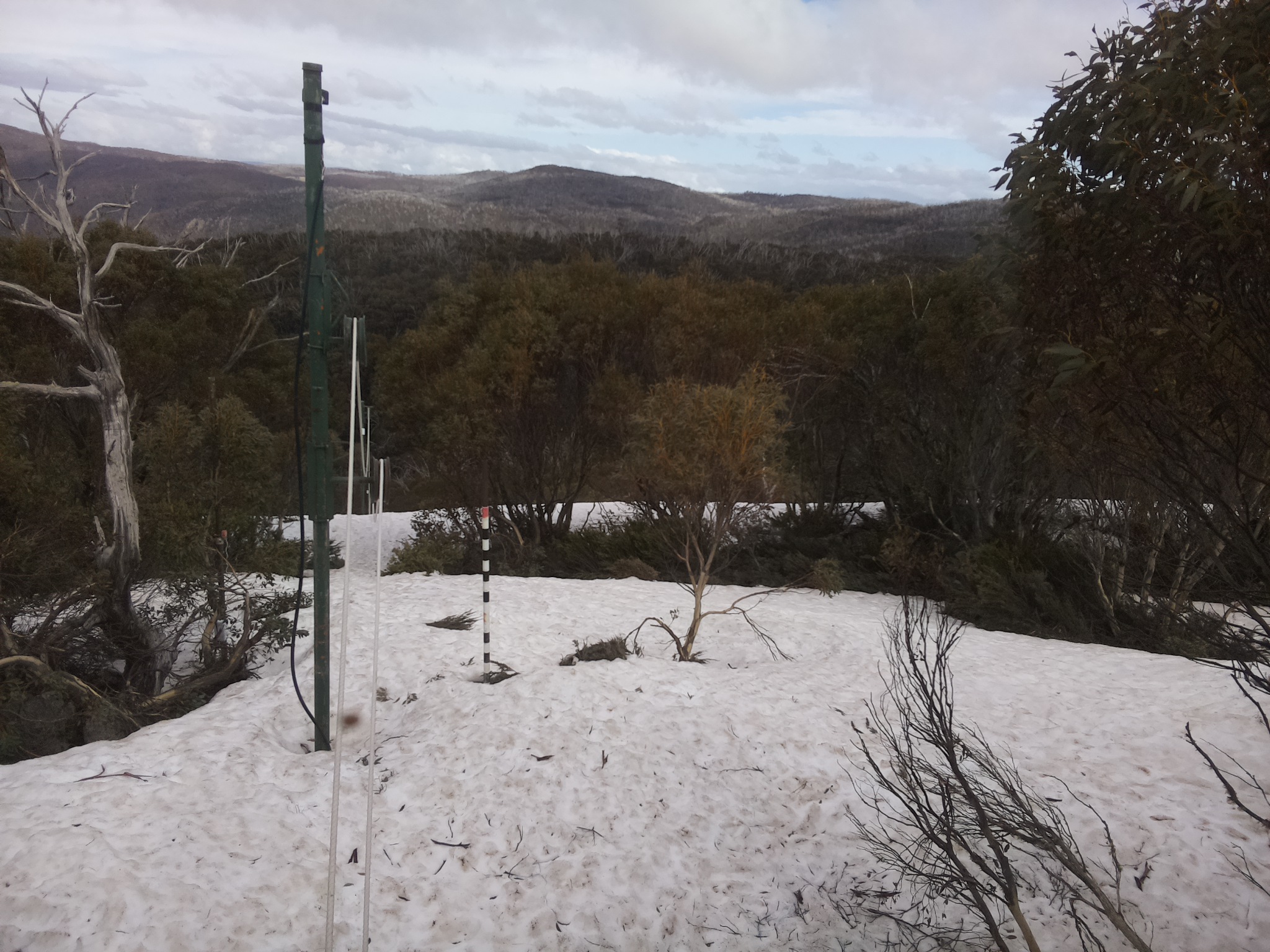 Bogong Web Cam 4:00pm Monday 6th of October 2025
