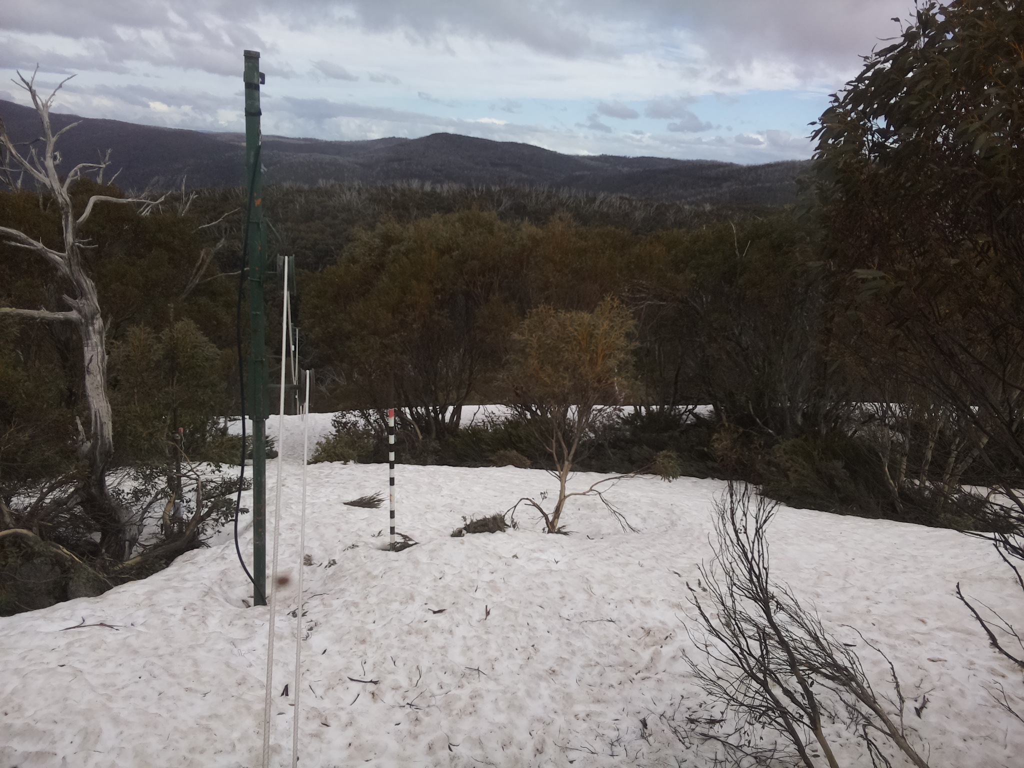 Bogong Web Cam 4:10pm Monday 6th of October 2025