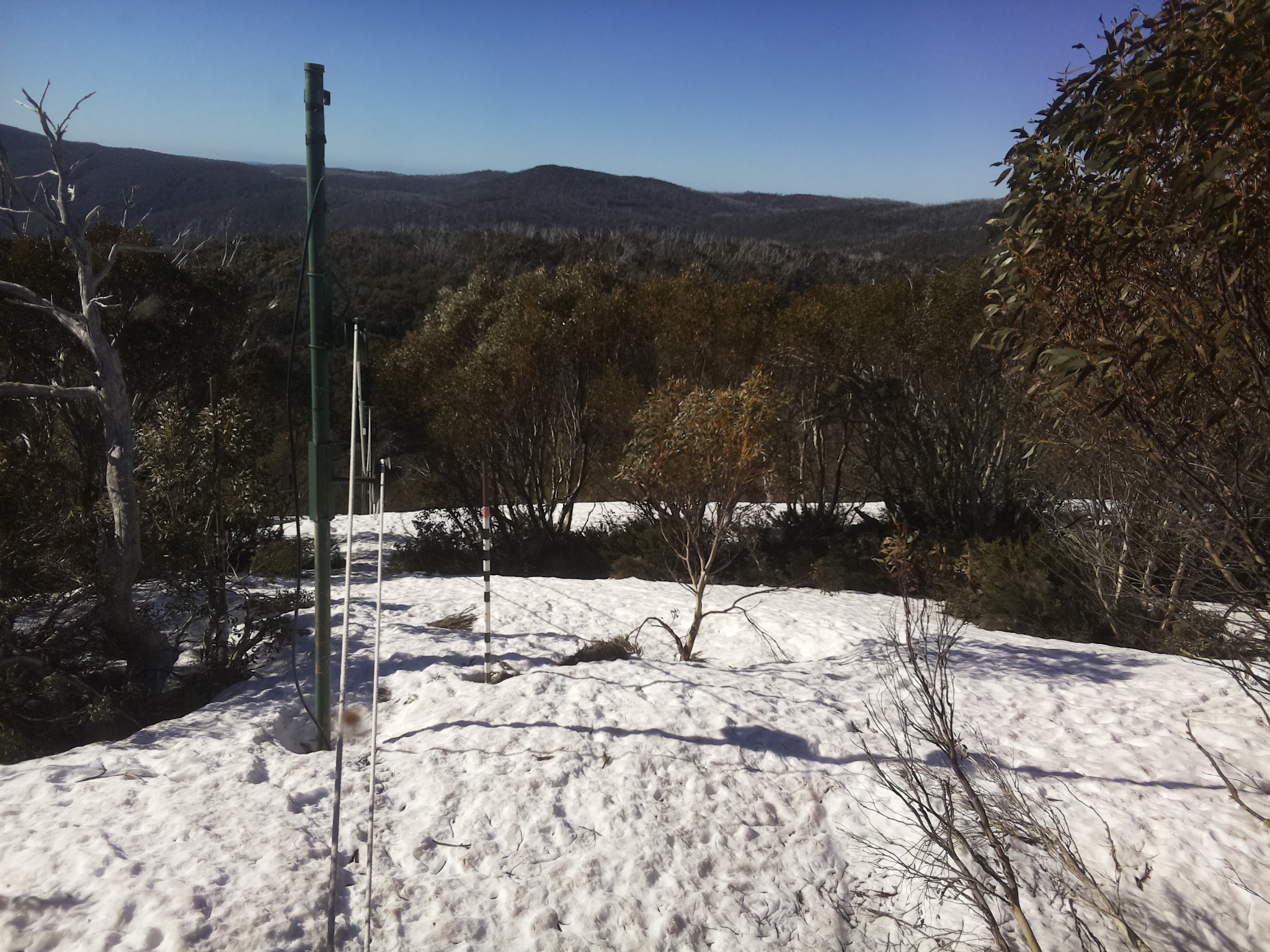 Bogong Web Cam 9:20am Tuesday 7th of October 2025