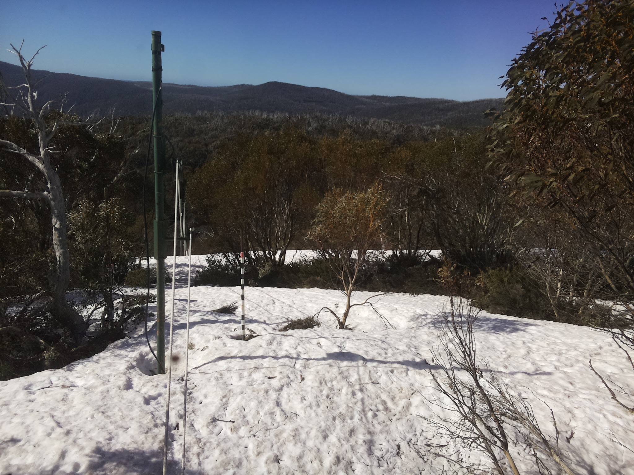 Bogong Web Cam 9:50am Tuesday 7th of October 2025
